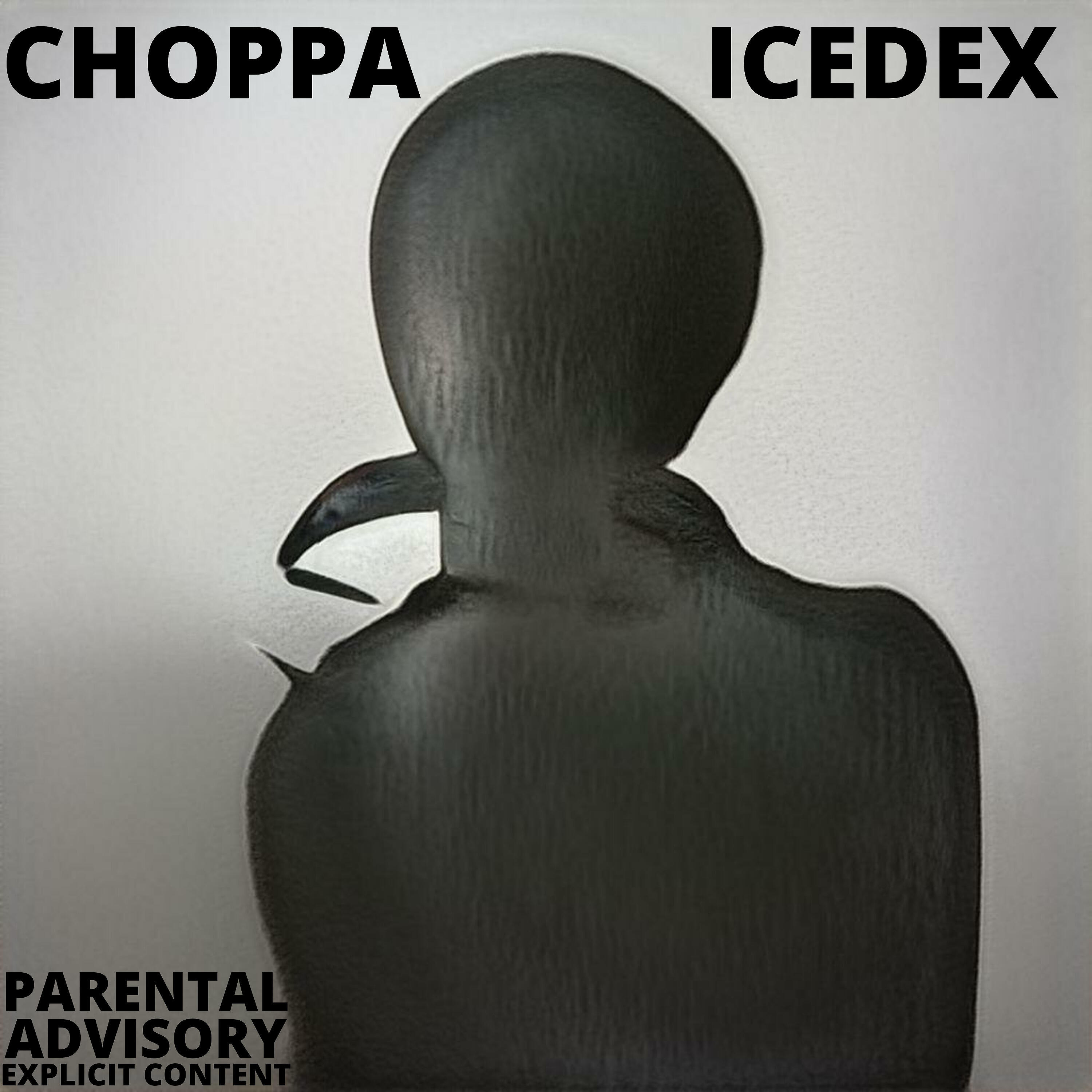 ICEDEX