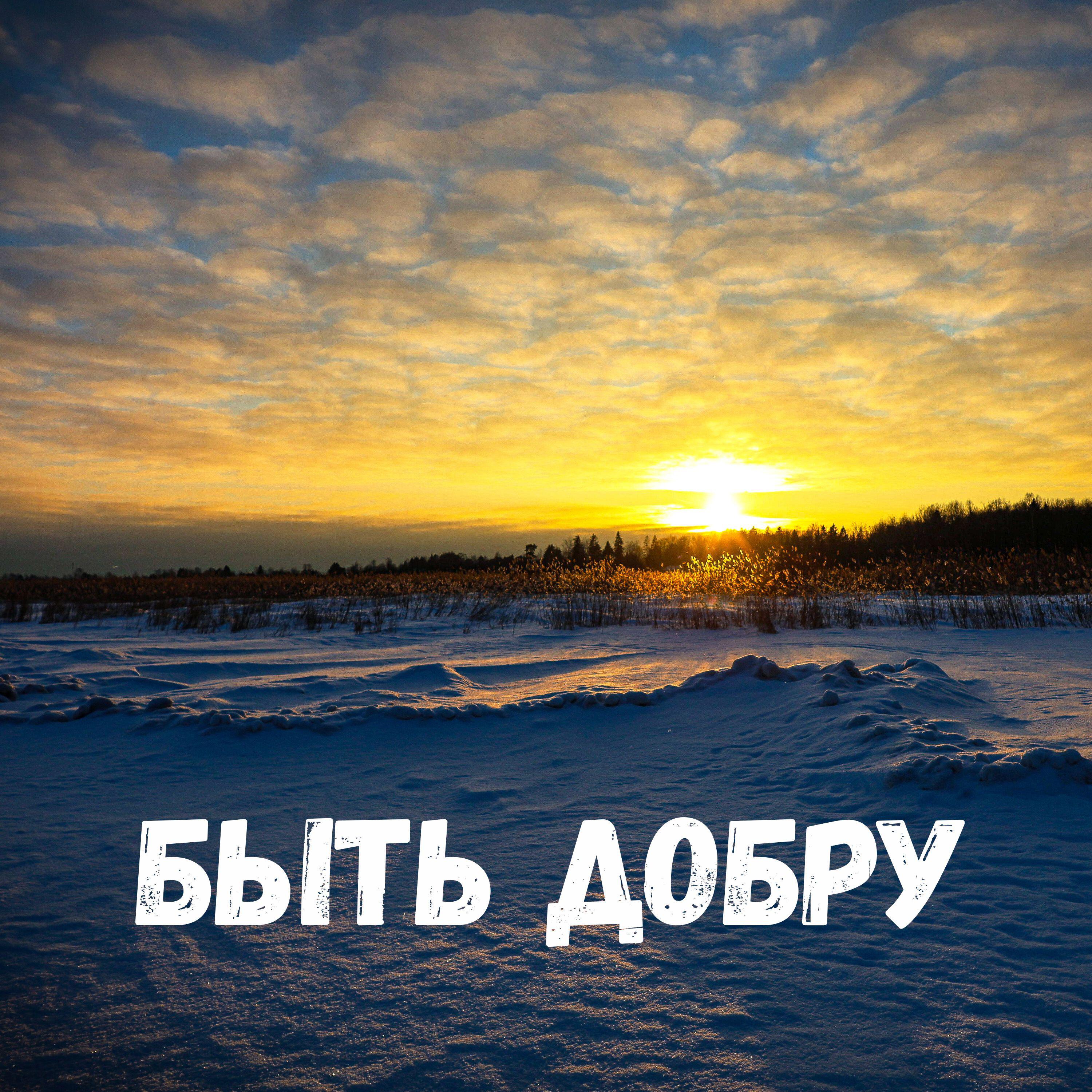 Светлана Т.