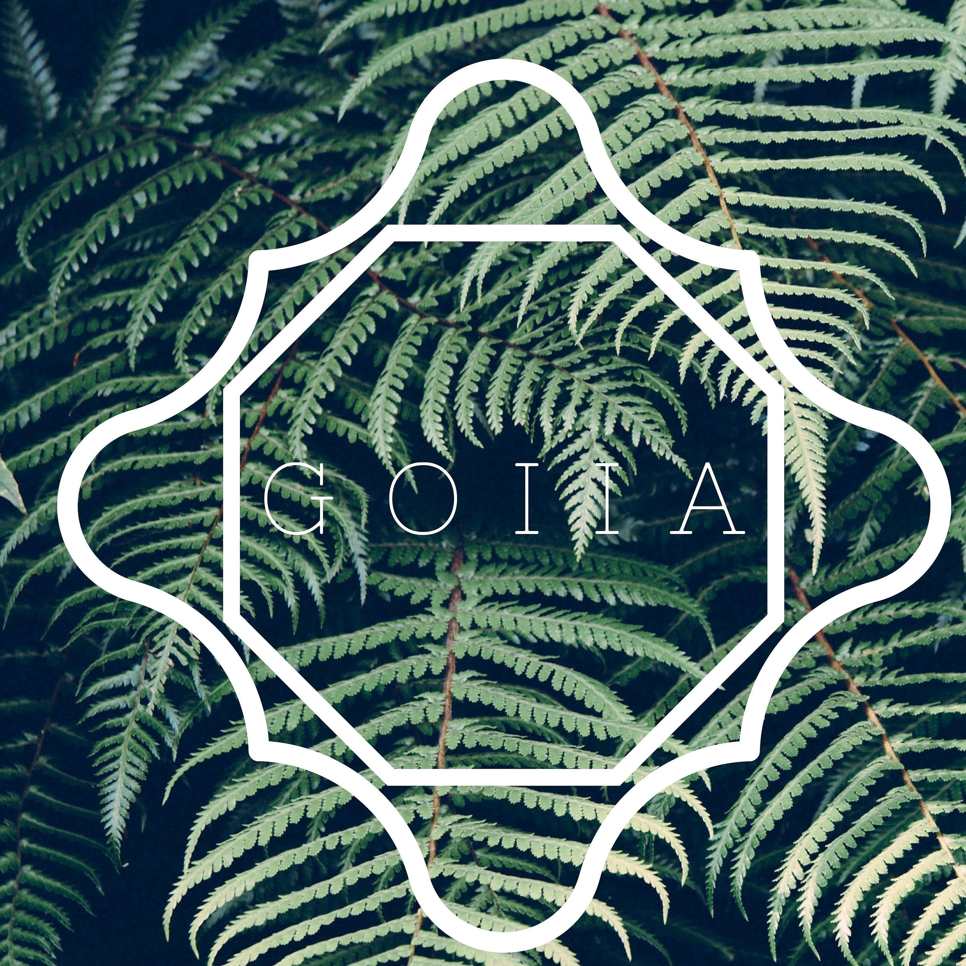 Релиз Goiia