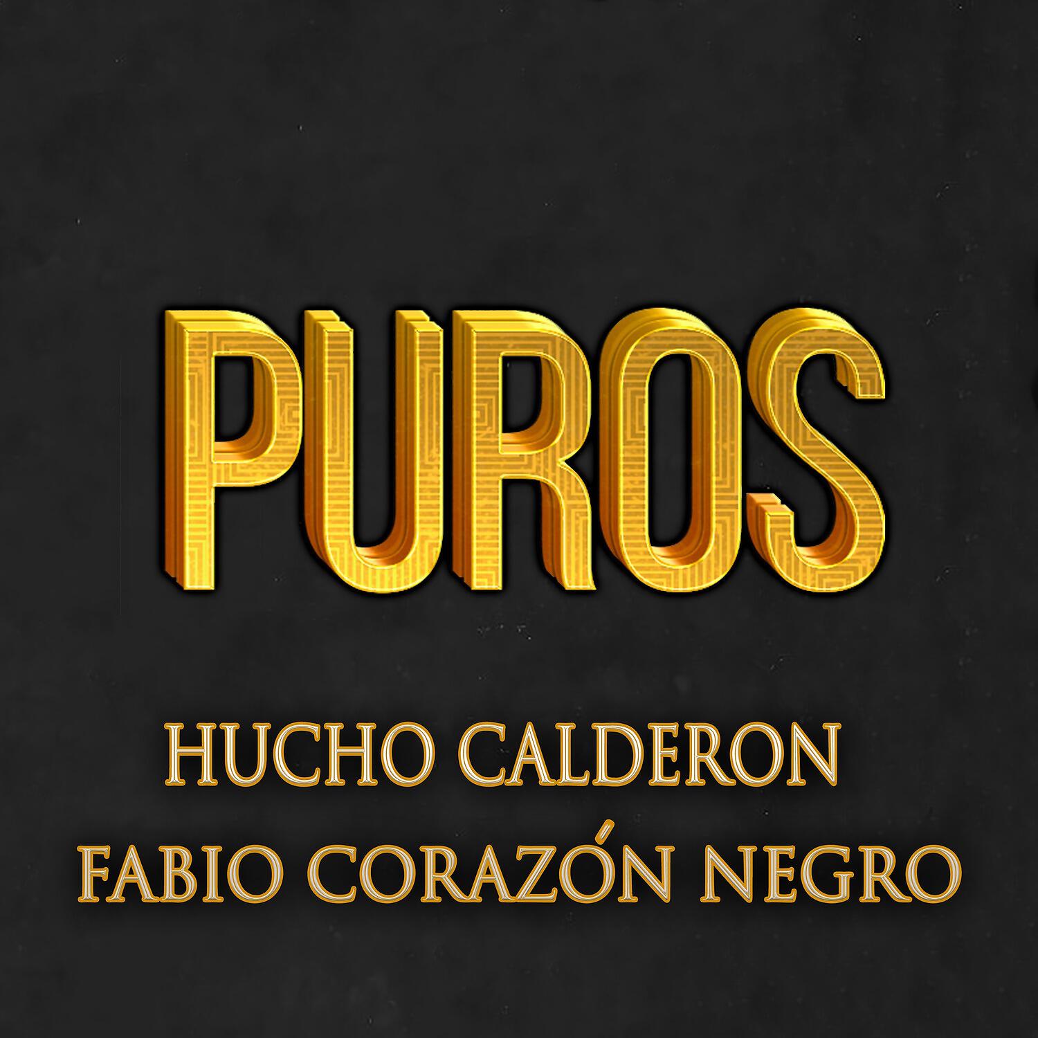 Релиз Puros