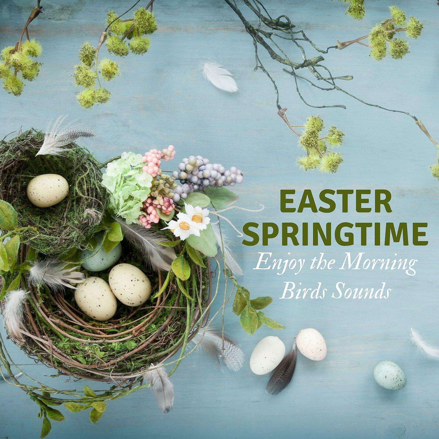 Релиз Easter Springtime - Enjoy the Morning Birds Sounds