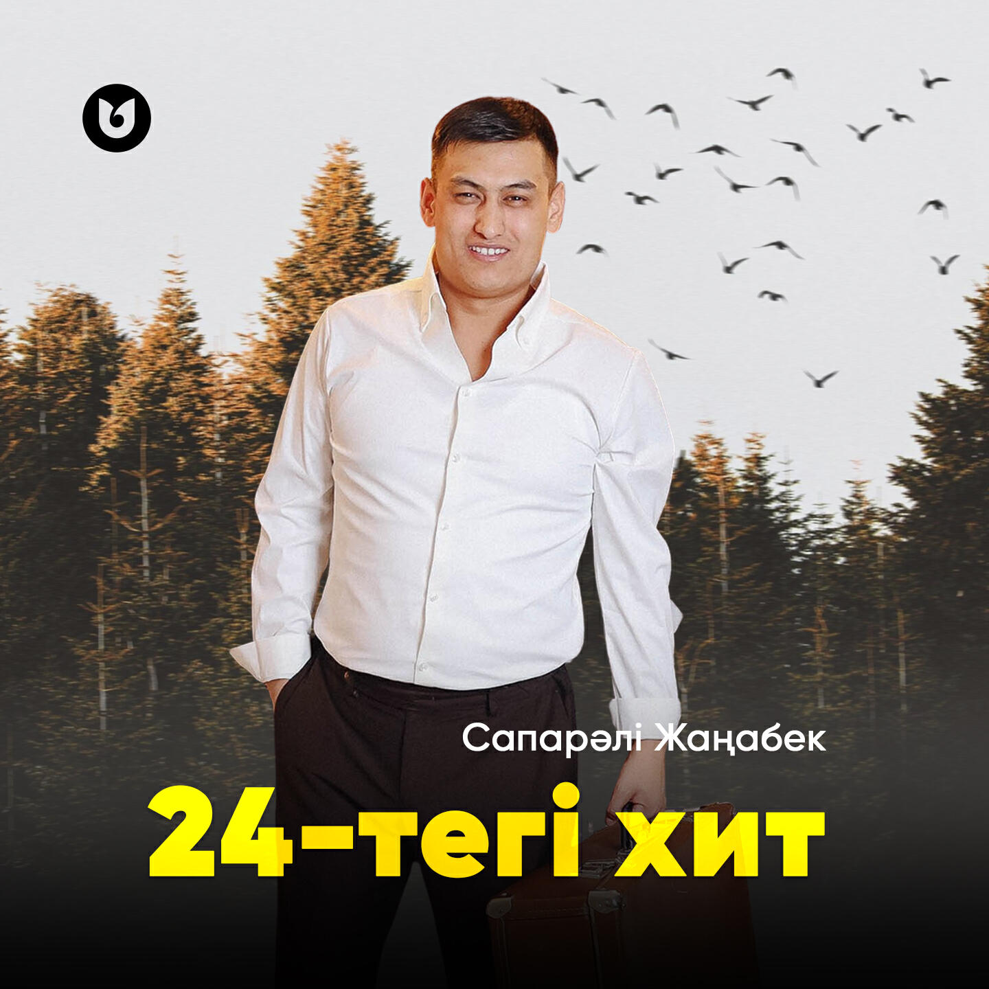 Постер альбома 24 - тегі хит