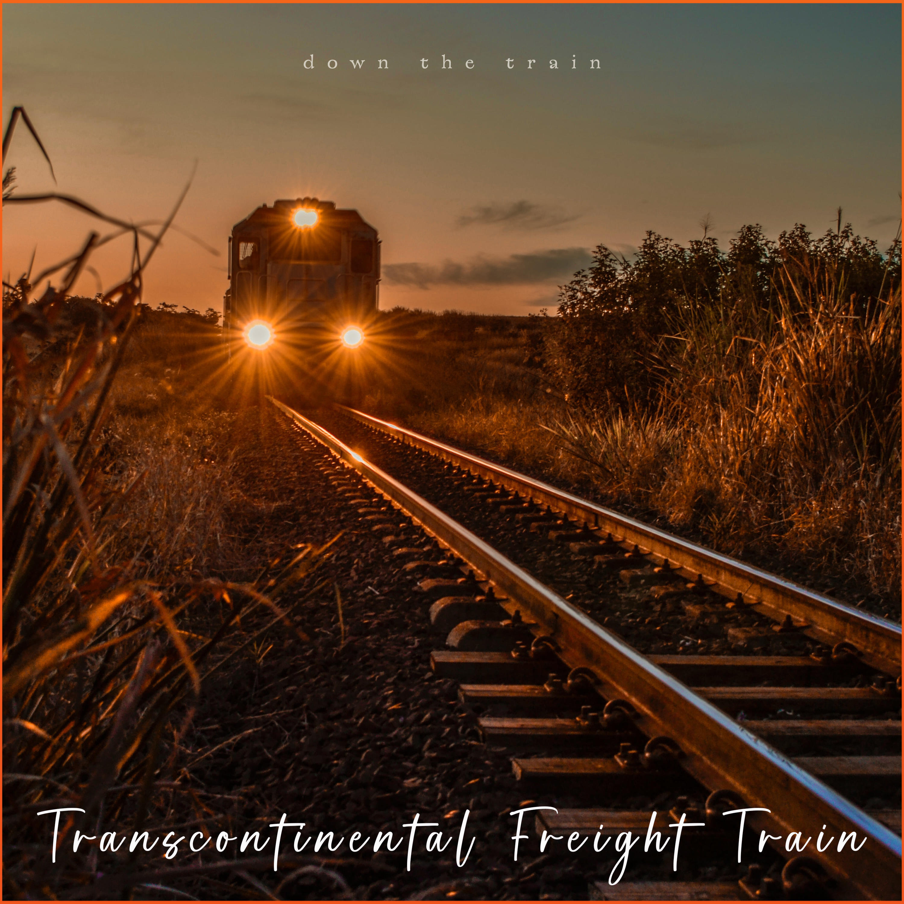 Down The Train