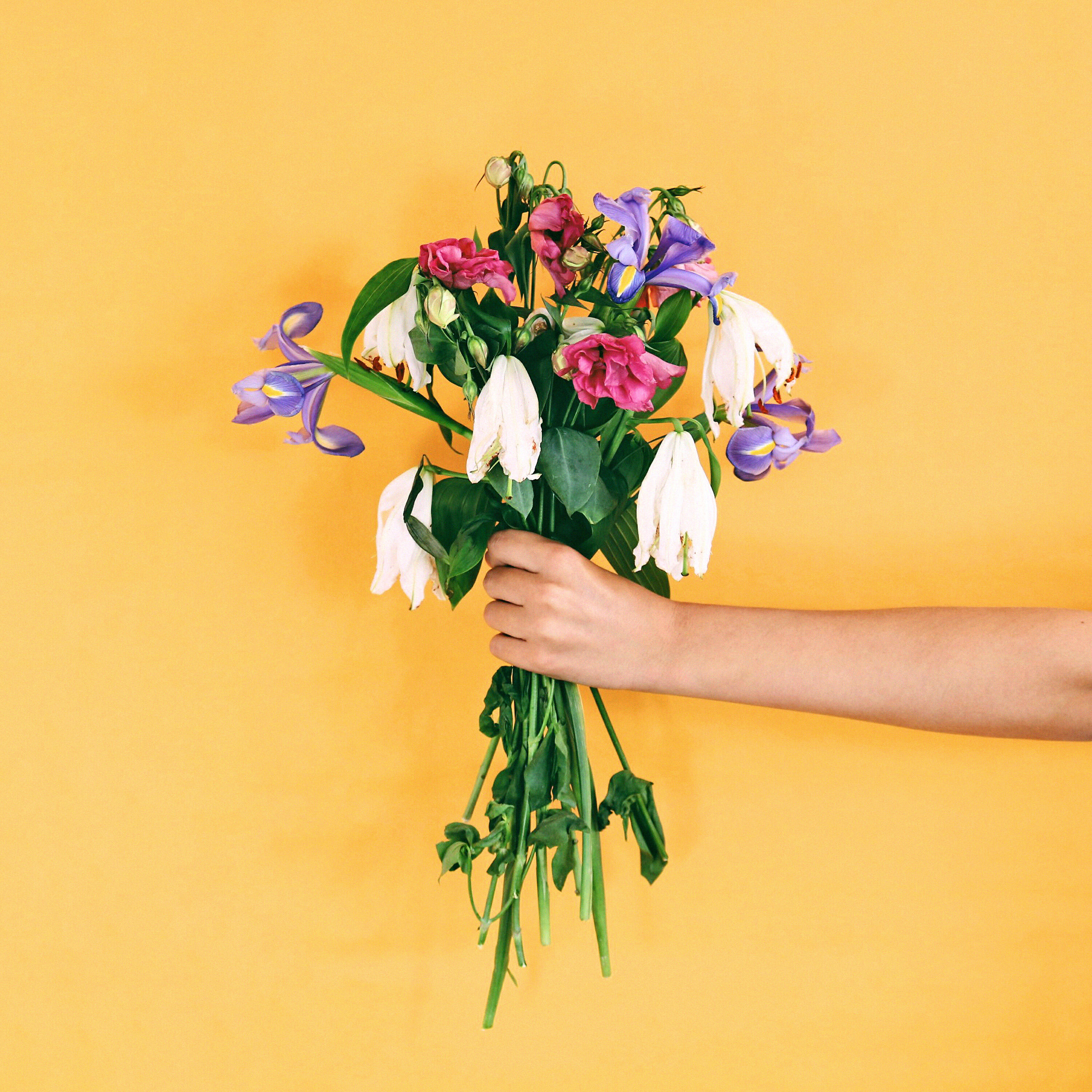 Релиз Pleasantries