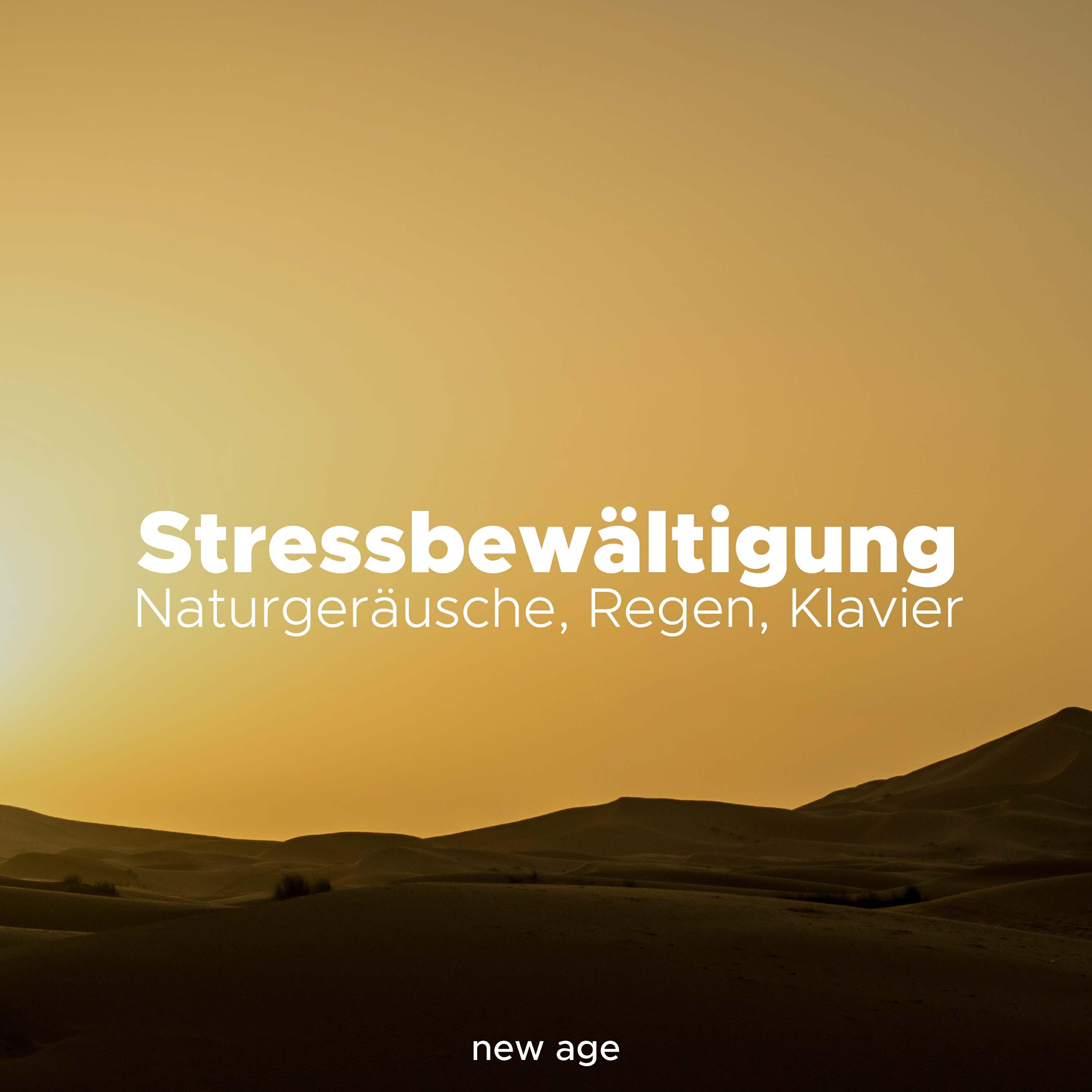 Релиз Stressbewältigung - Naturgeräusche, Regen, Klavier