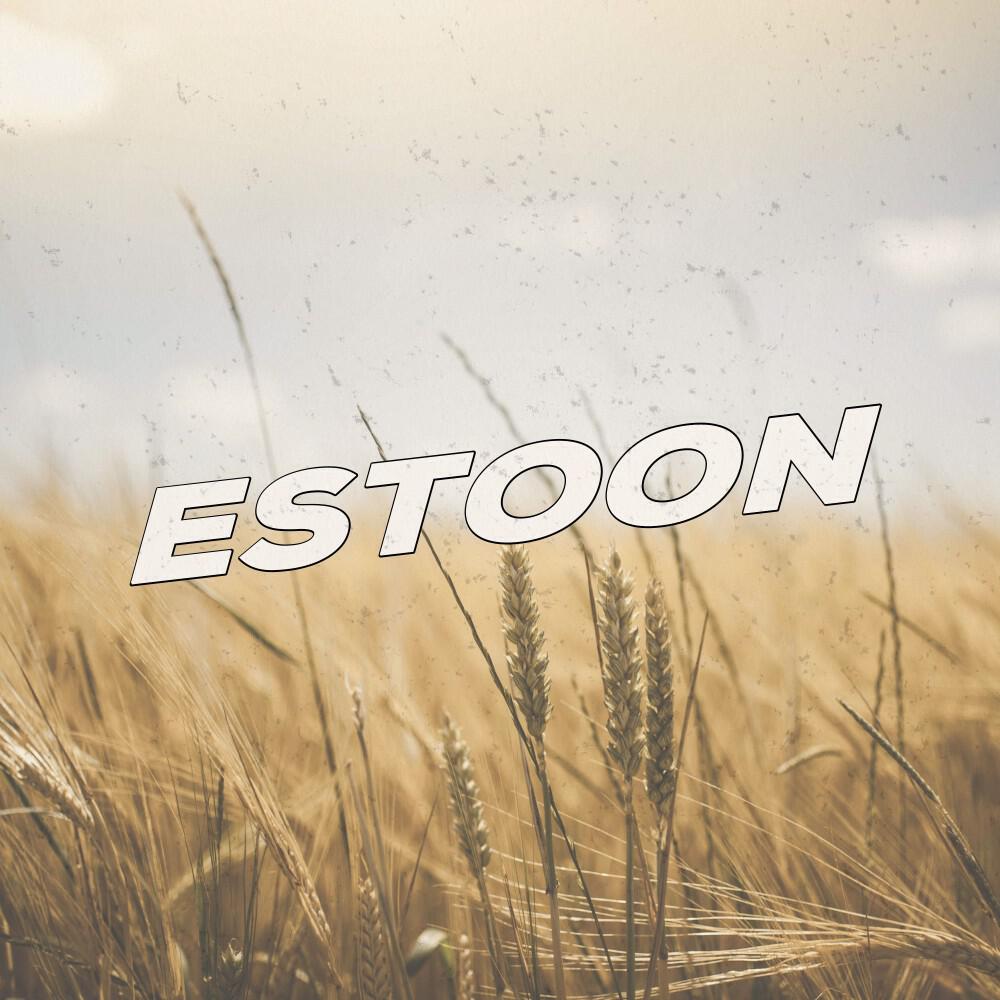 Релиз Estoon