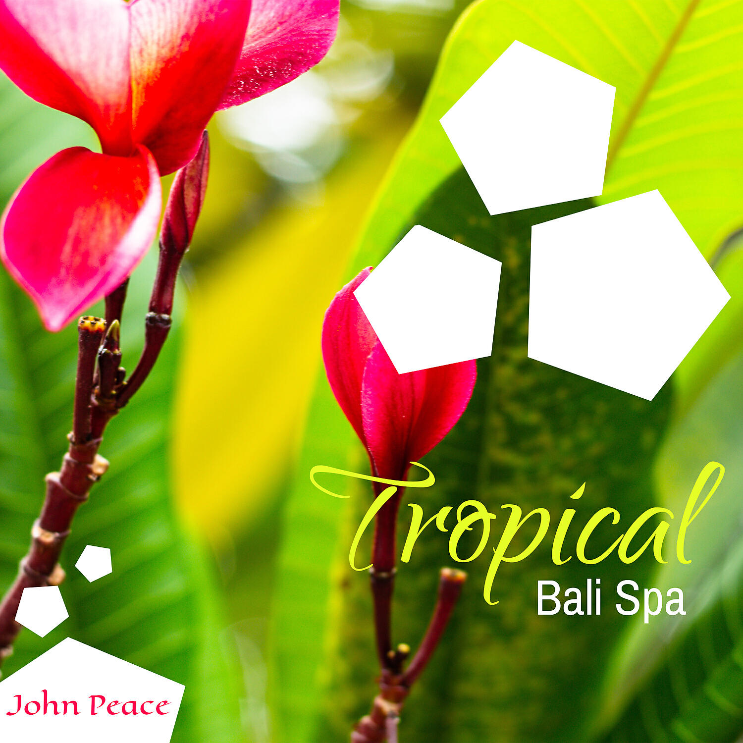 Релиз Tropical Bali Spa