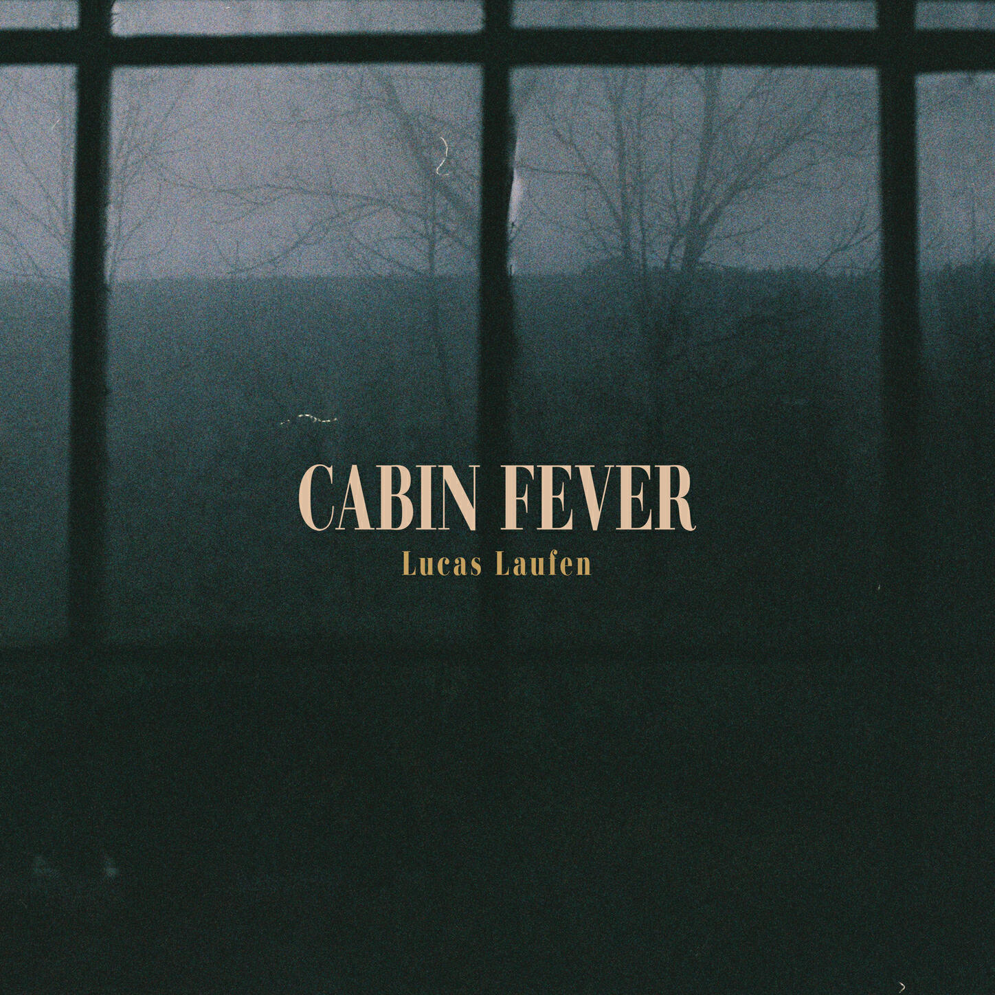 Релиз Cabin Fever