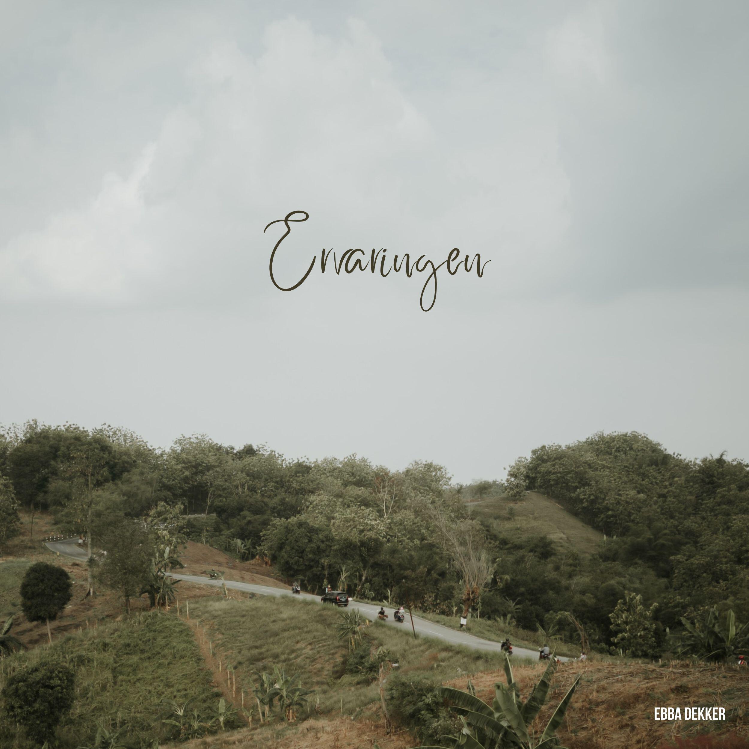 Релиз Ervaringen