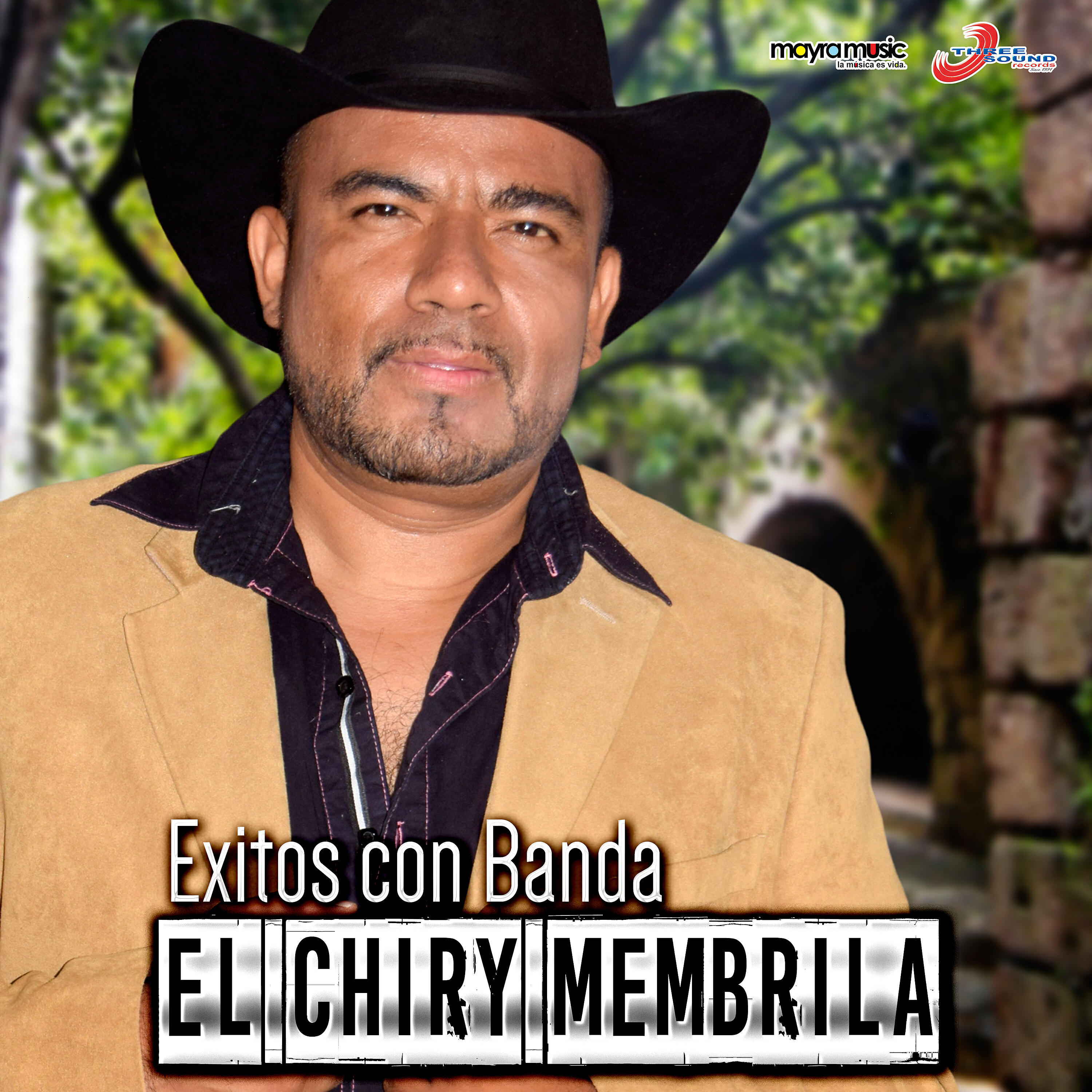 Релиз Exitos Con Banda