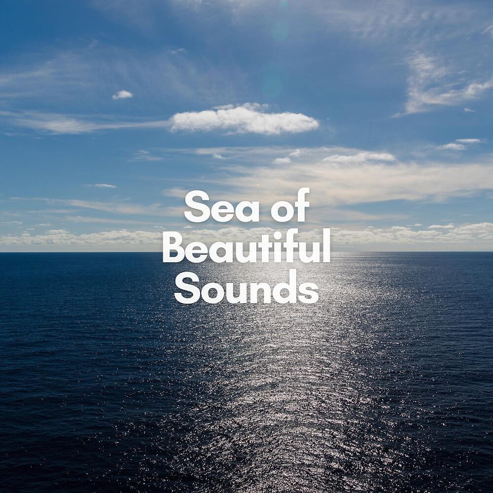 Релиз Sea of Beautiful Sounds