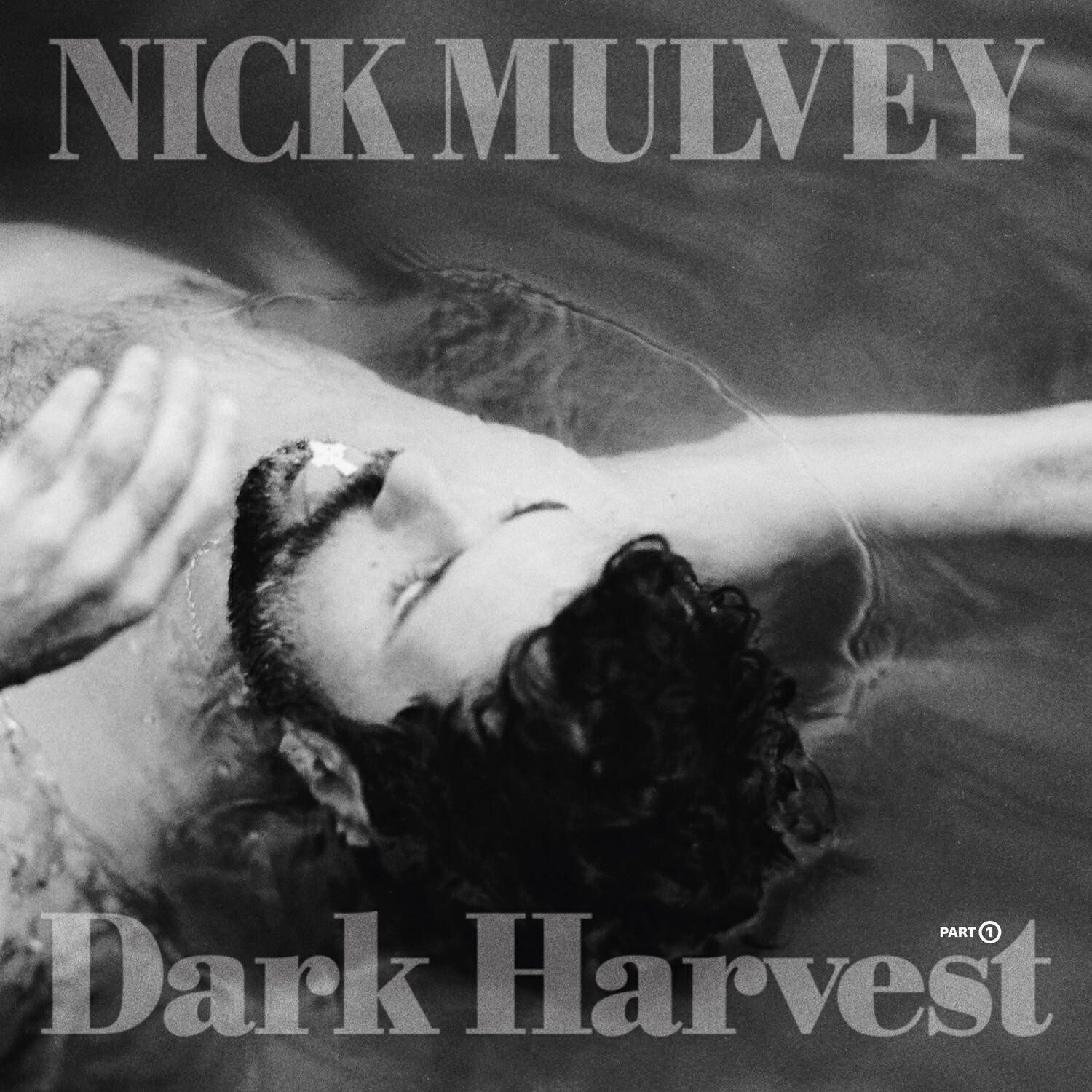 Постер альбома Dark Harvest, Pt. 1