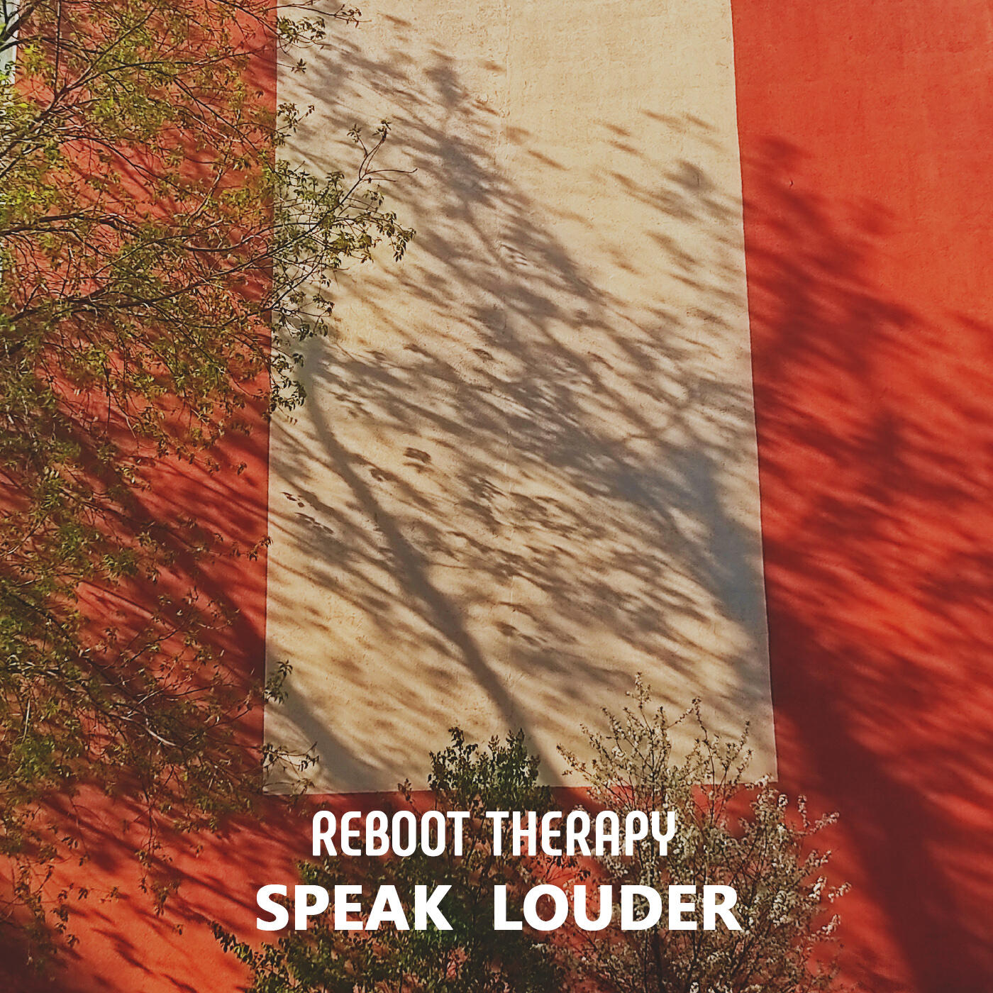 Reboot Therapy
