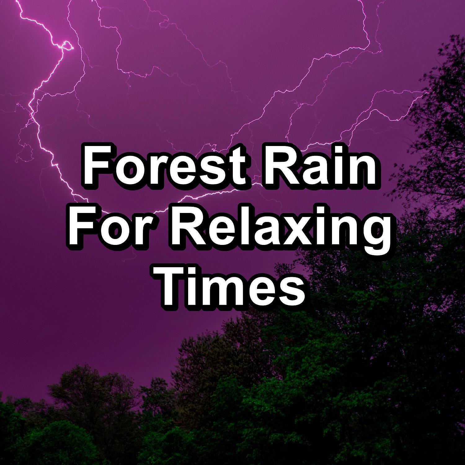 Релиз Forest Rain For Relaxing Times