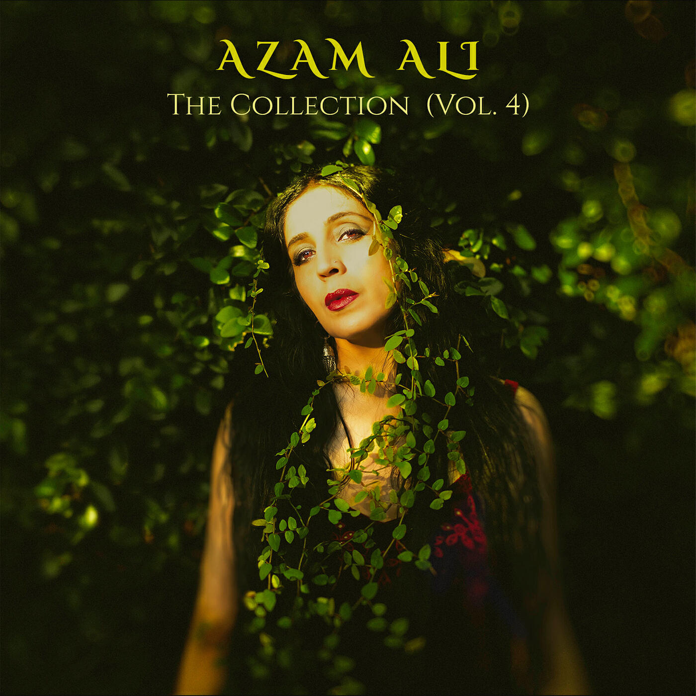 Релиз The Collection, Vol. 4
