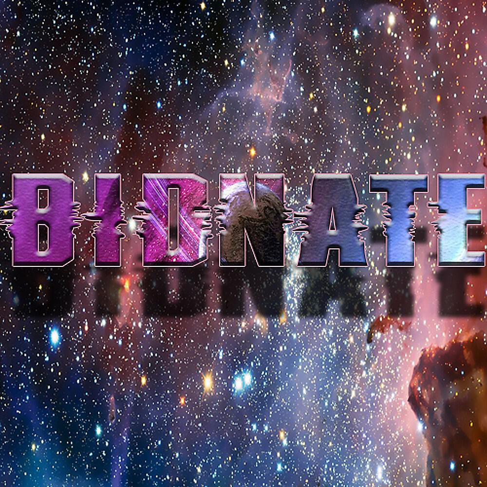 Bidnate