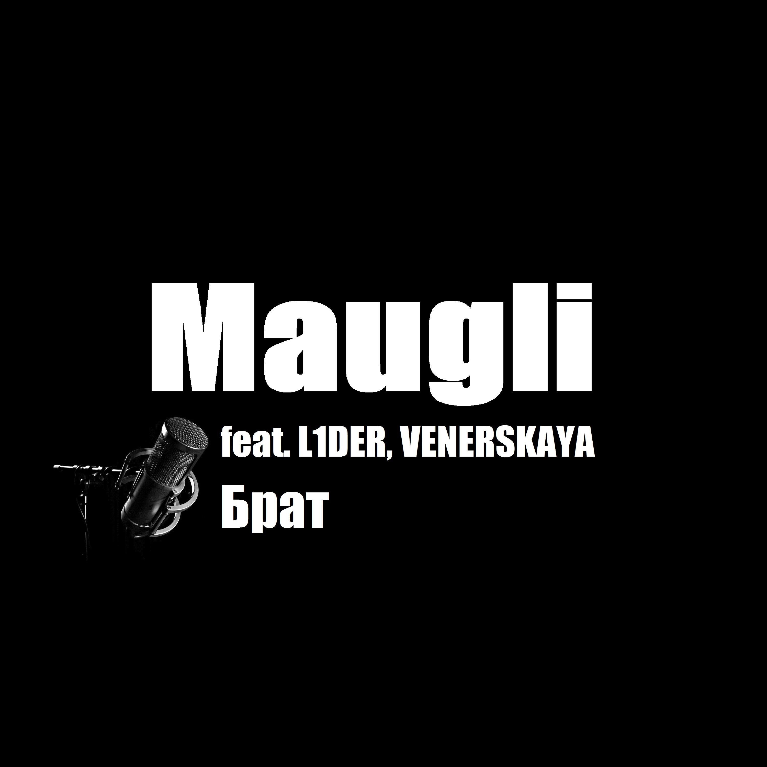 Релиз Брат (feat. L1der, Venerskaya)