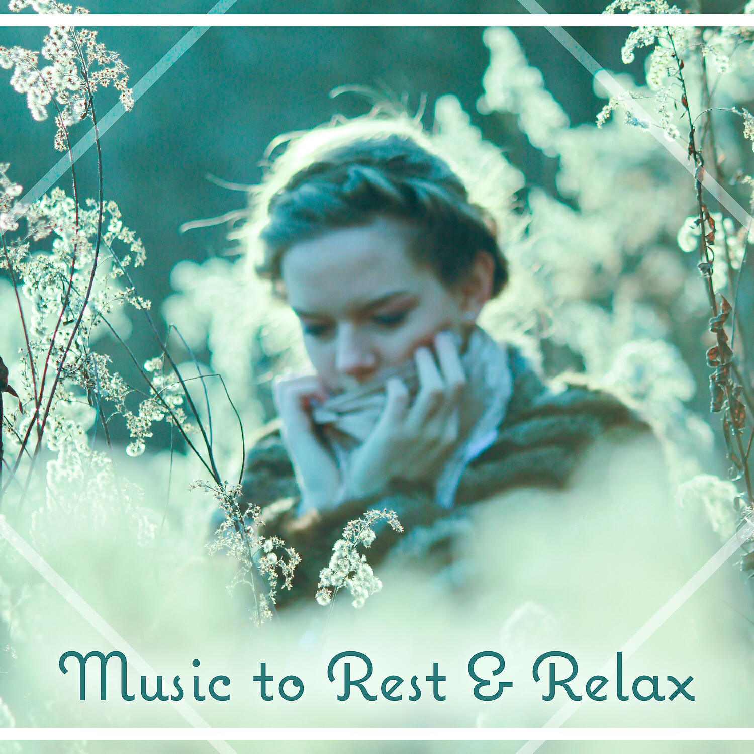 The Calming Sounds of Nature