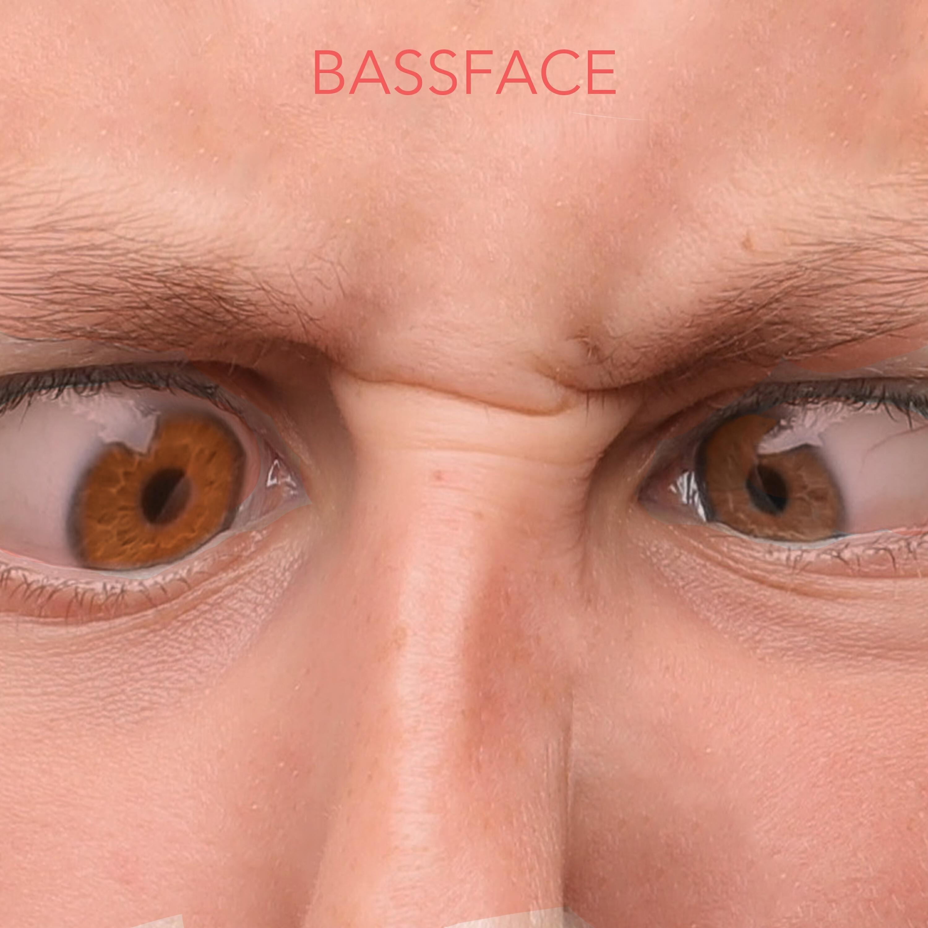 Релиз Bassface