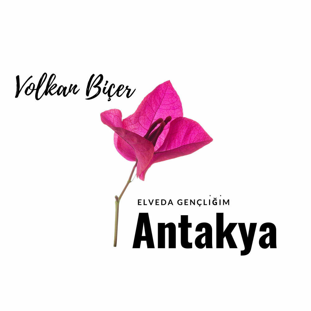 Volkan Biçer