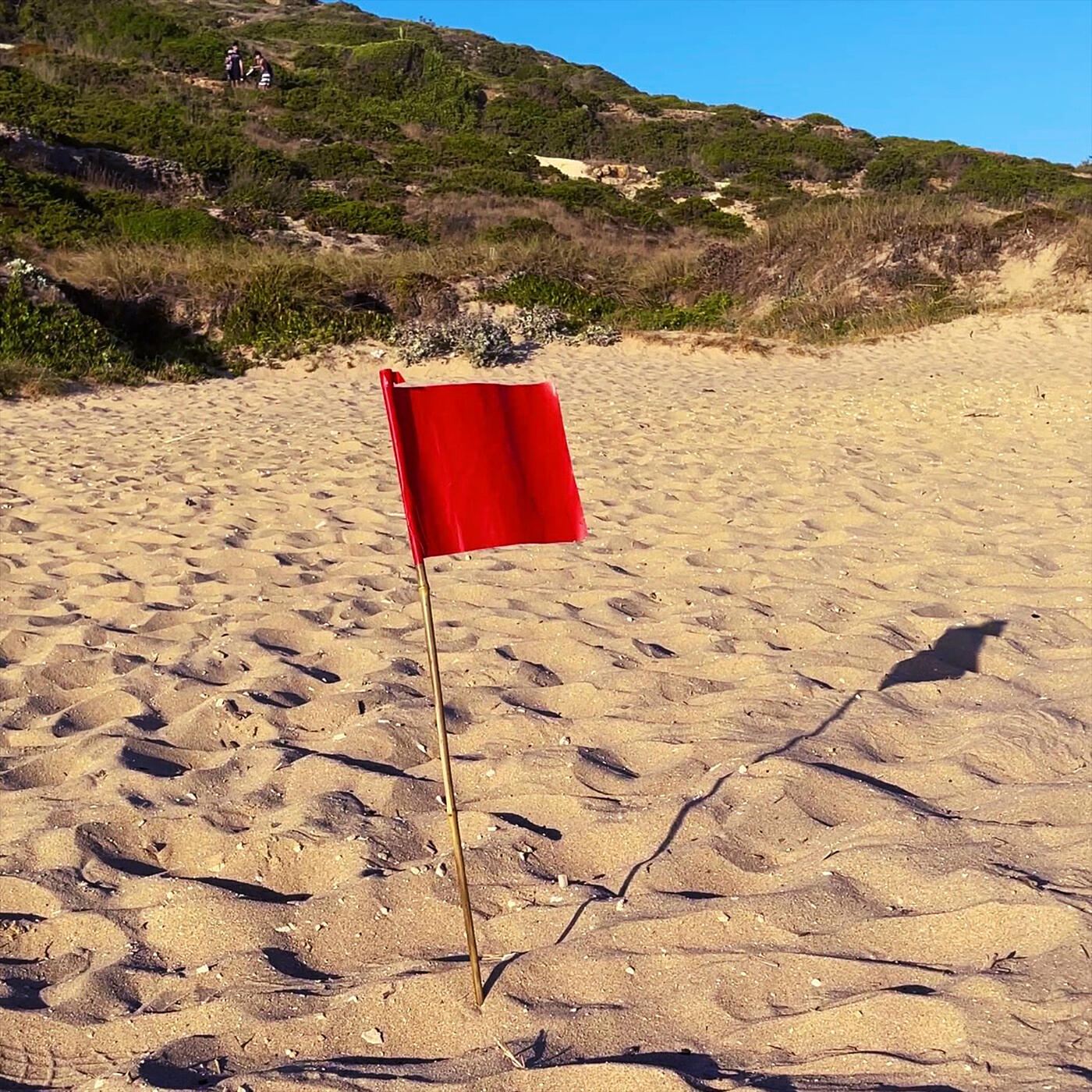 Релиз Red Flag