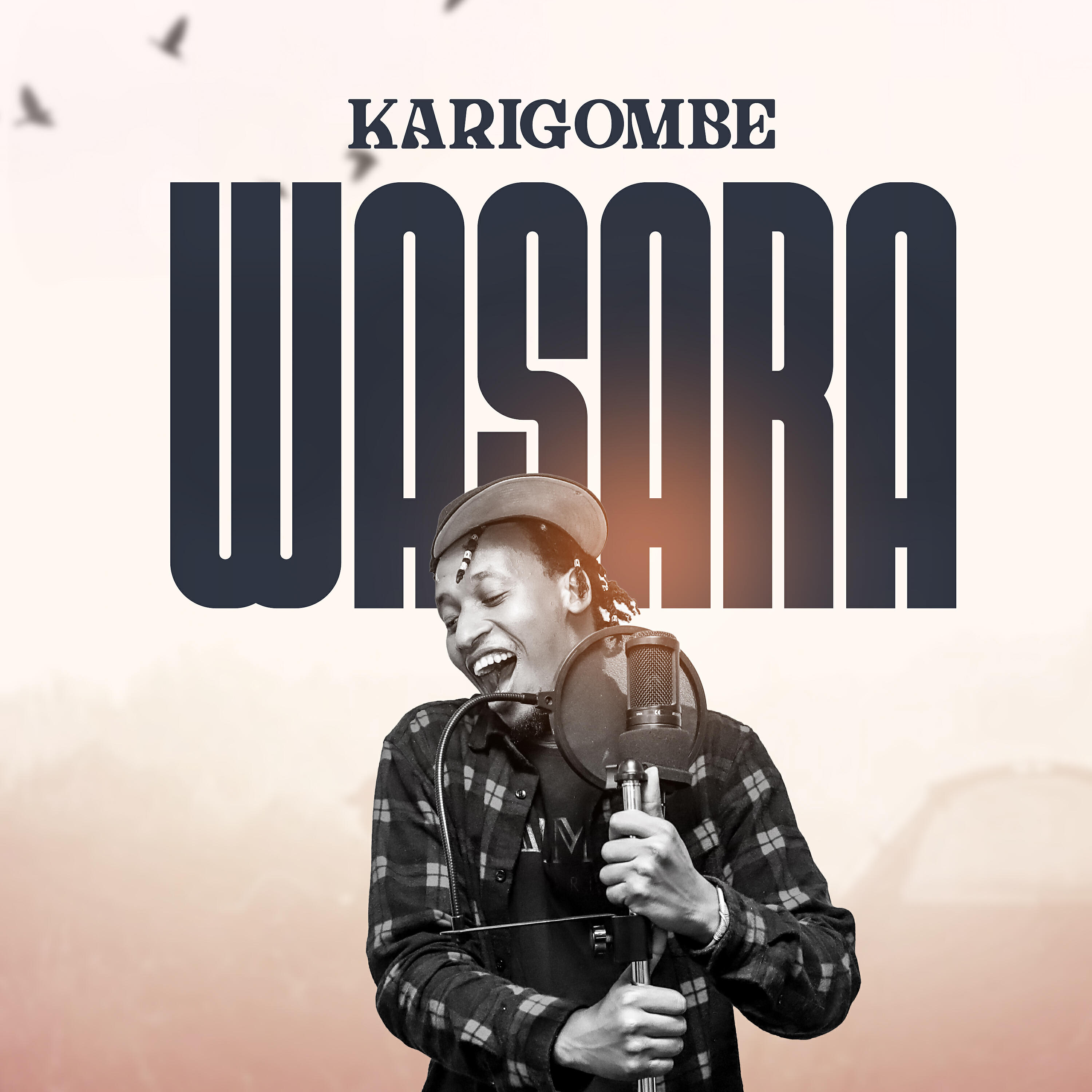 Релиз Wasara