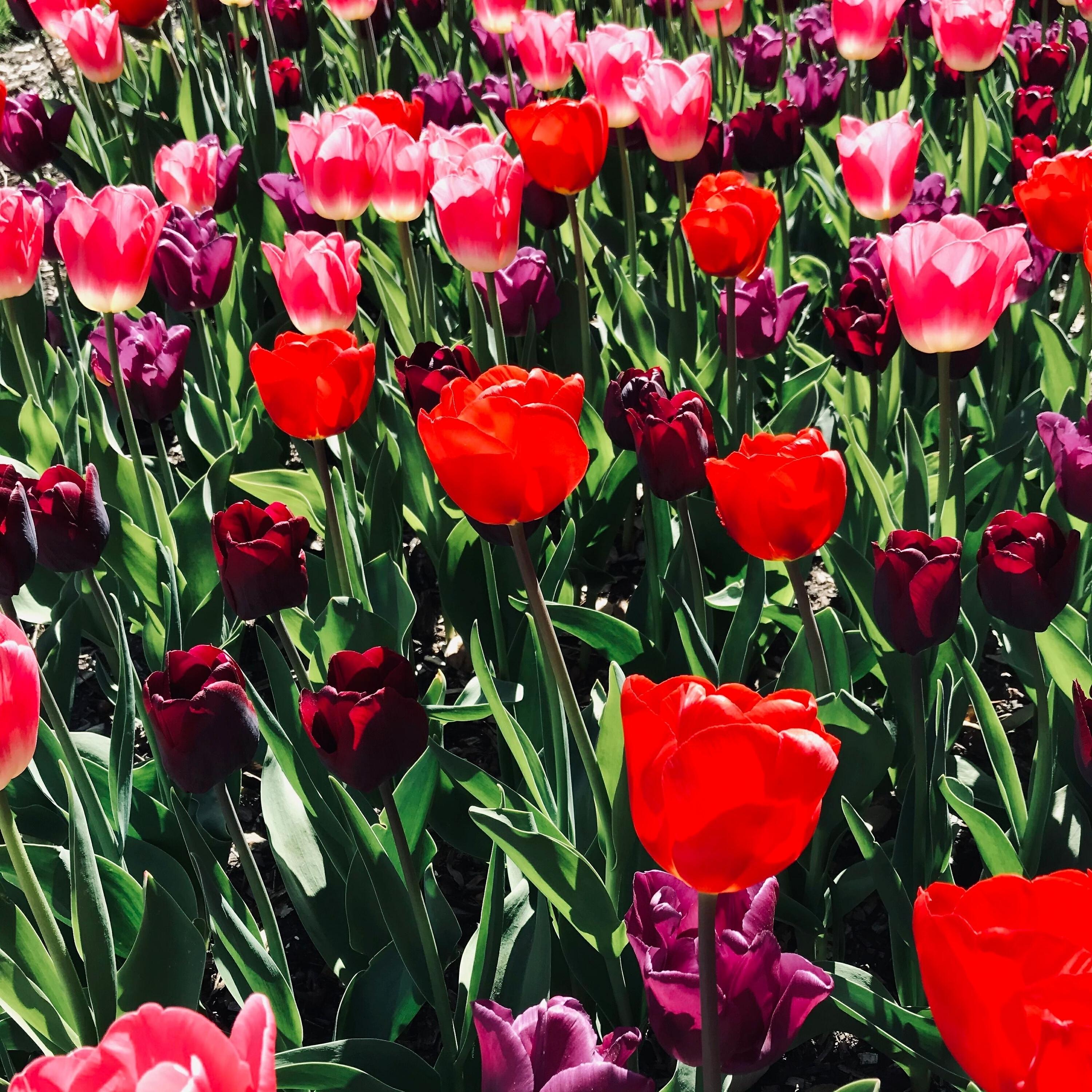 Релиз April in Twenty One