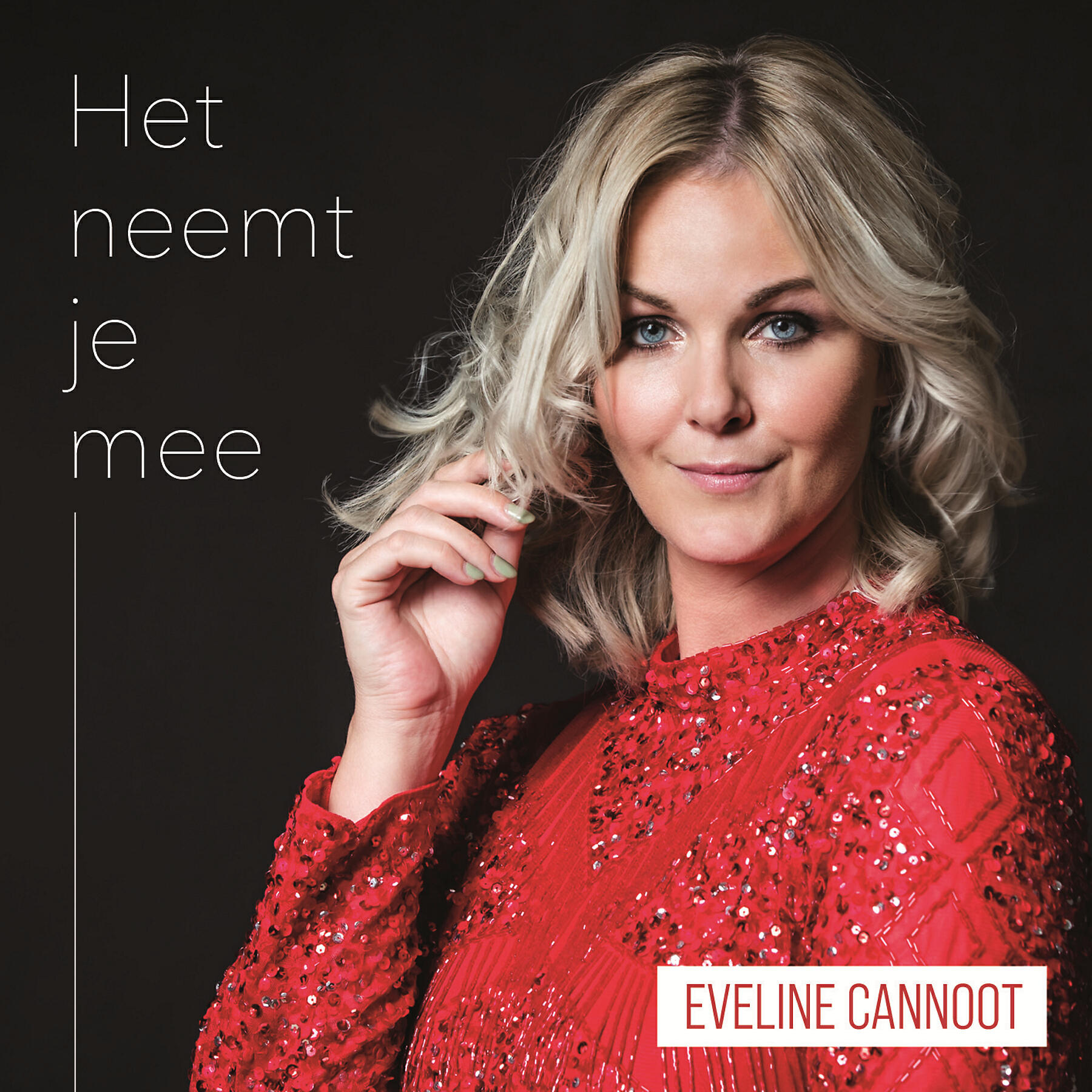 Релиз Het Neemt Je Mee