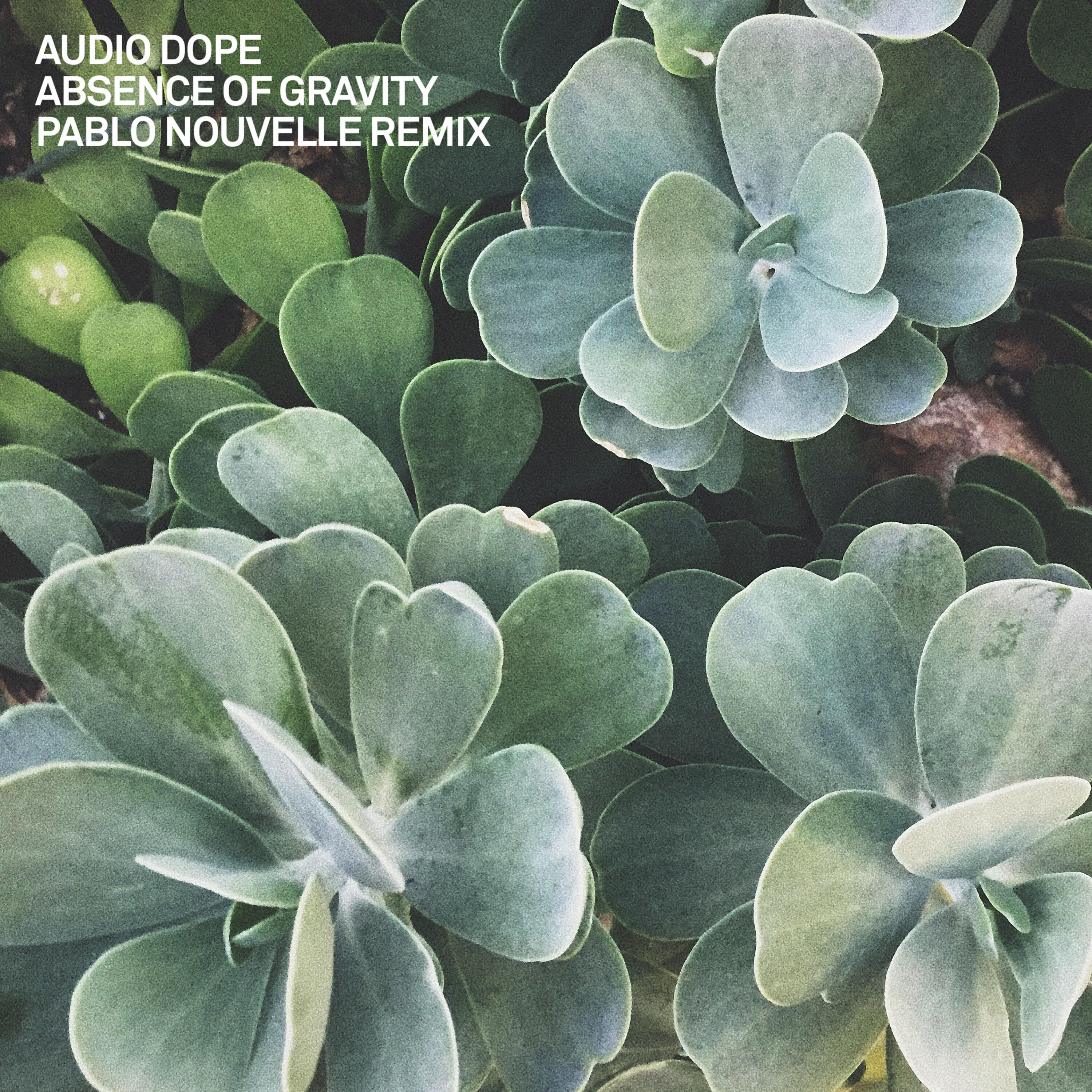Релиз Absence of Gravity (Pablo Nouvelle Remix)