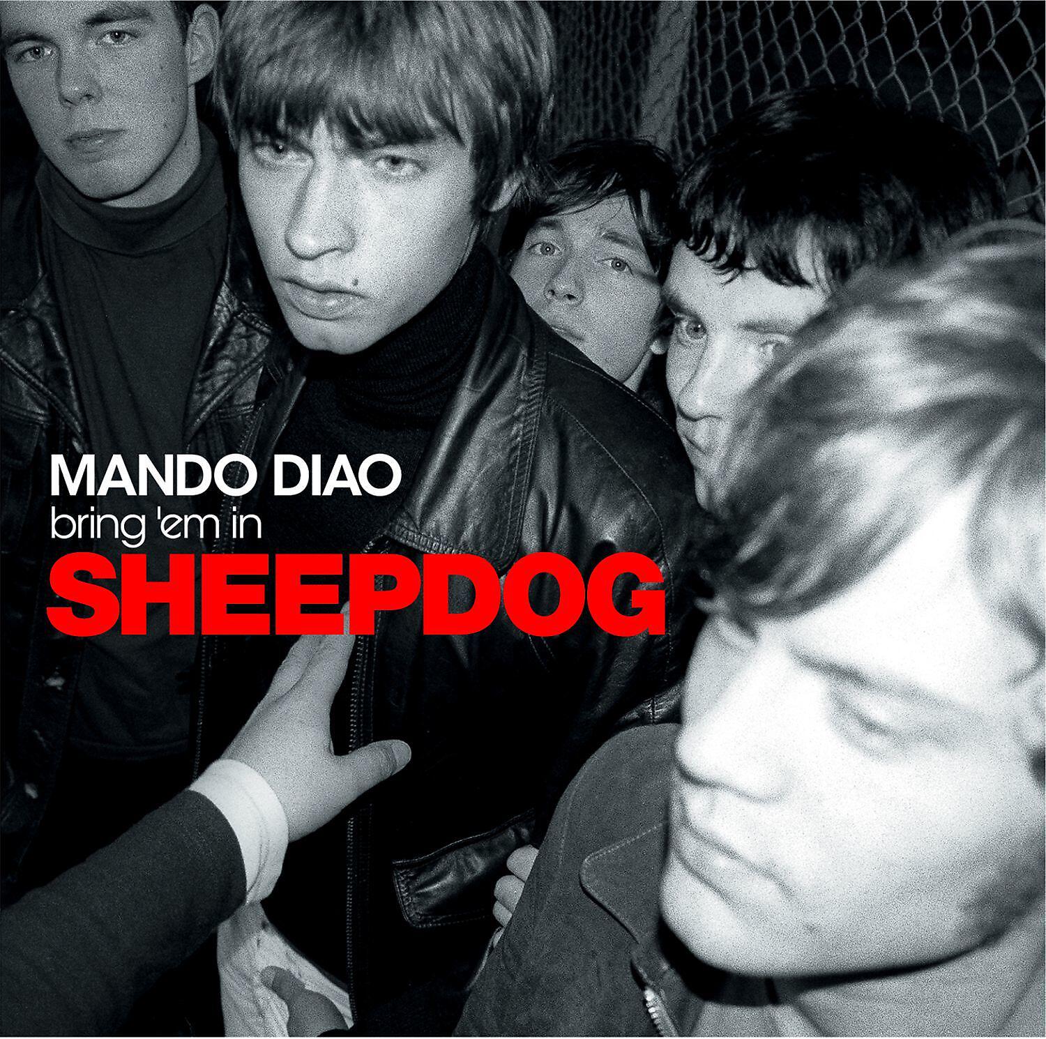 Релиз Sheepdog