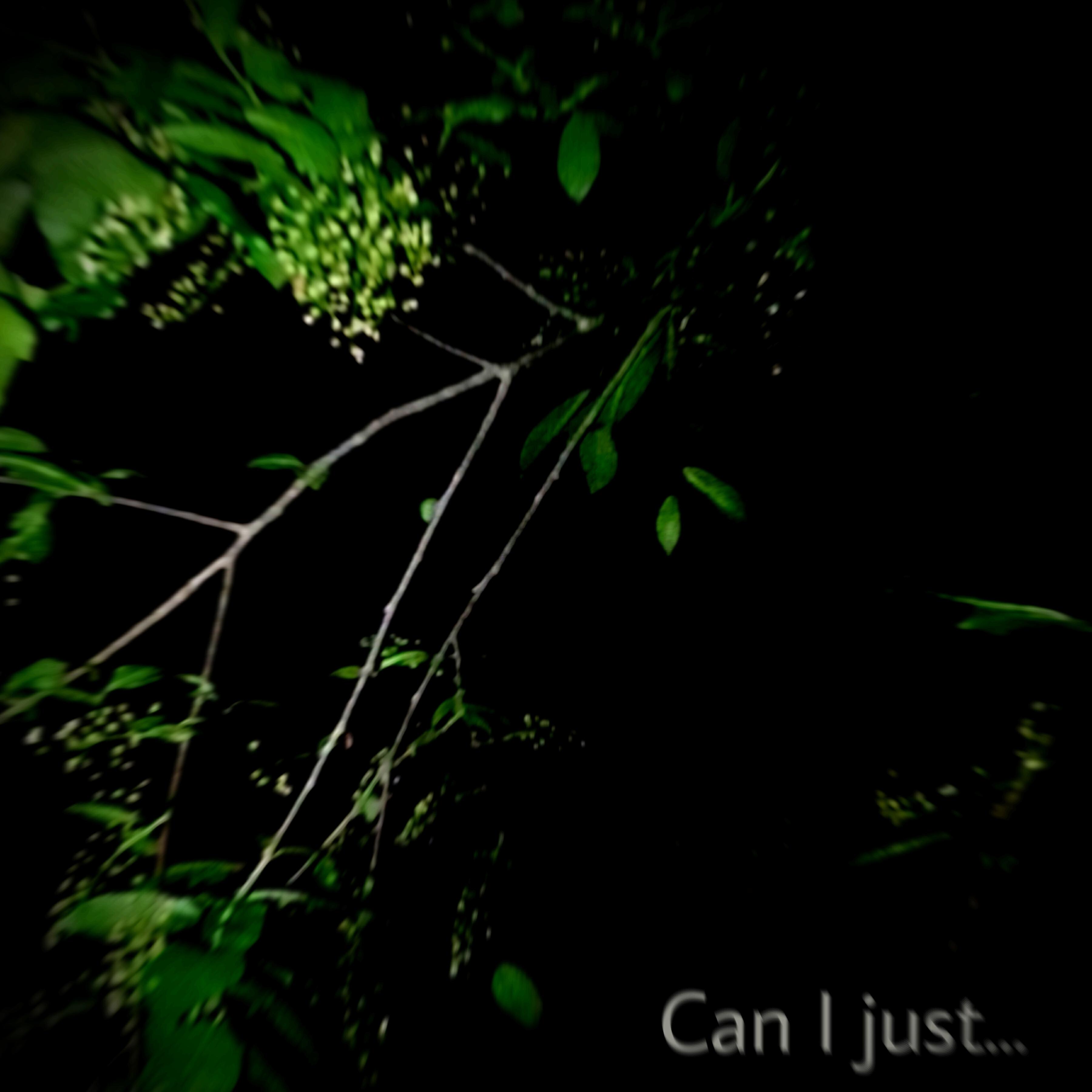 Релиз Can I Just...