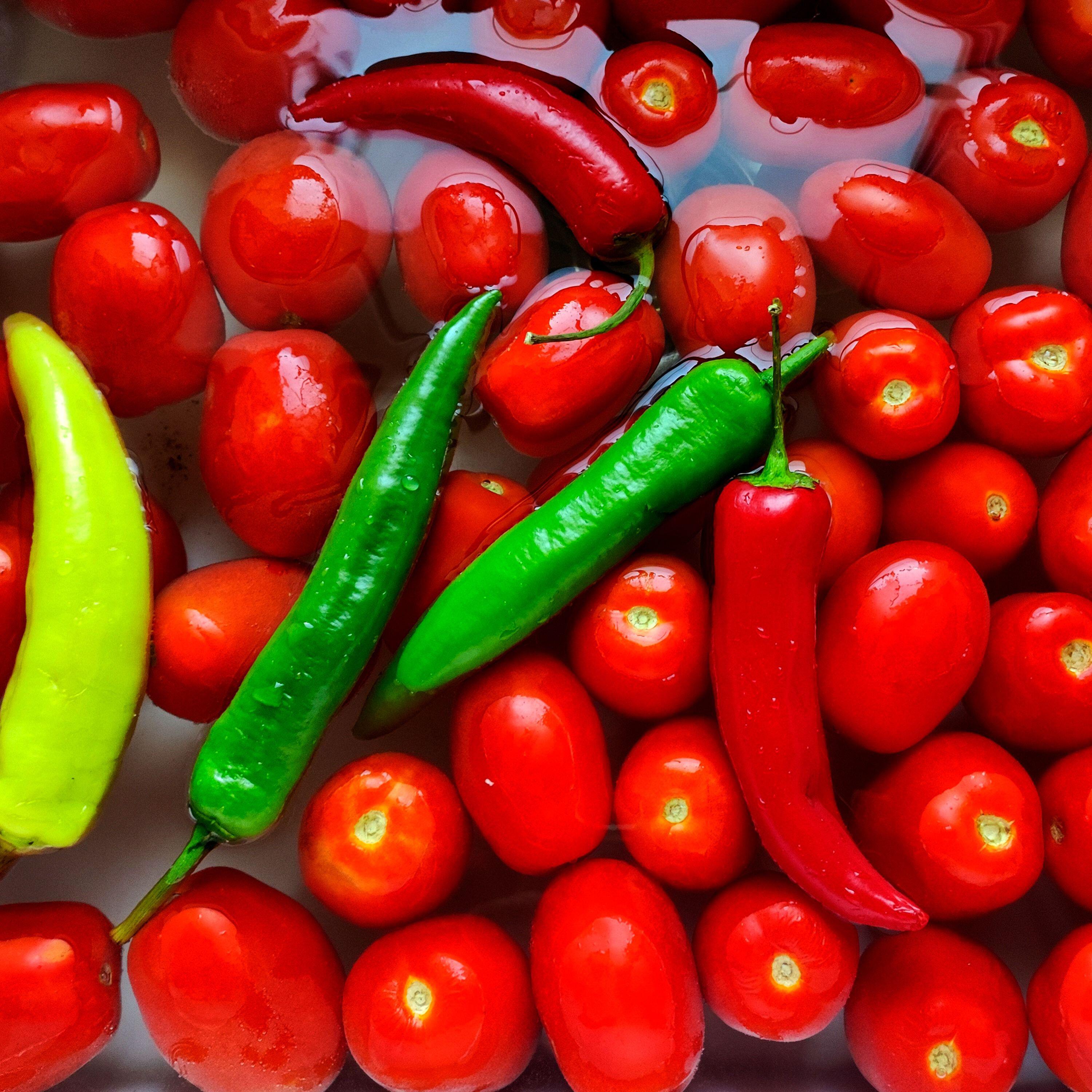 Релиз Шау Шаурма