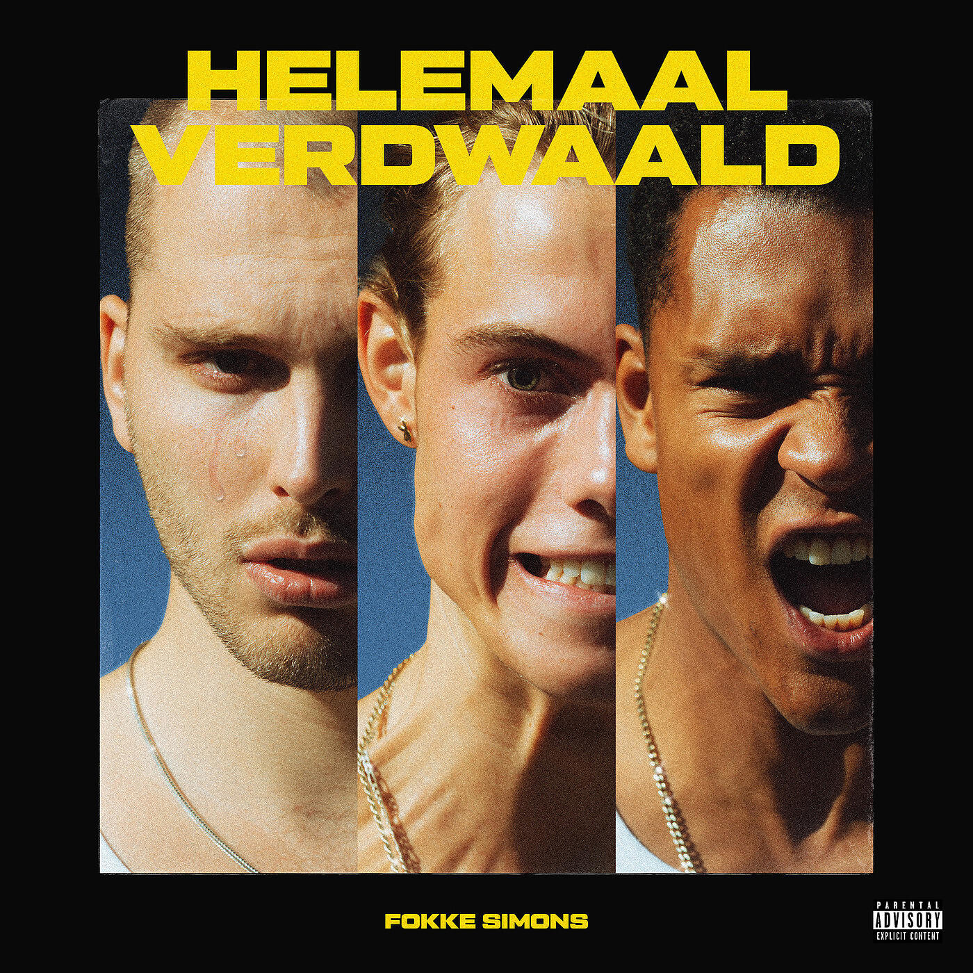 Релиз Helemaal Verdwaald