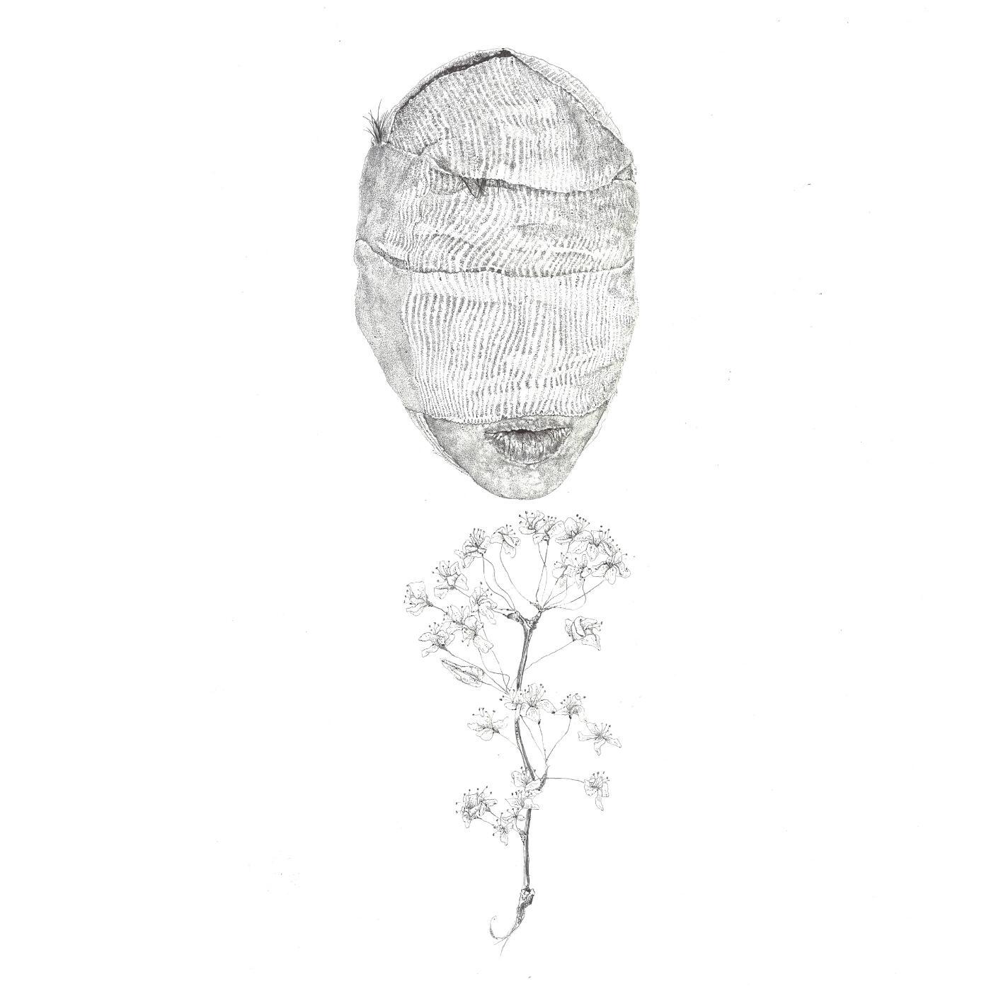 Релиз Weak Species
