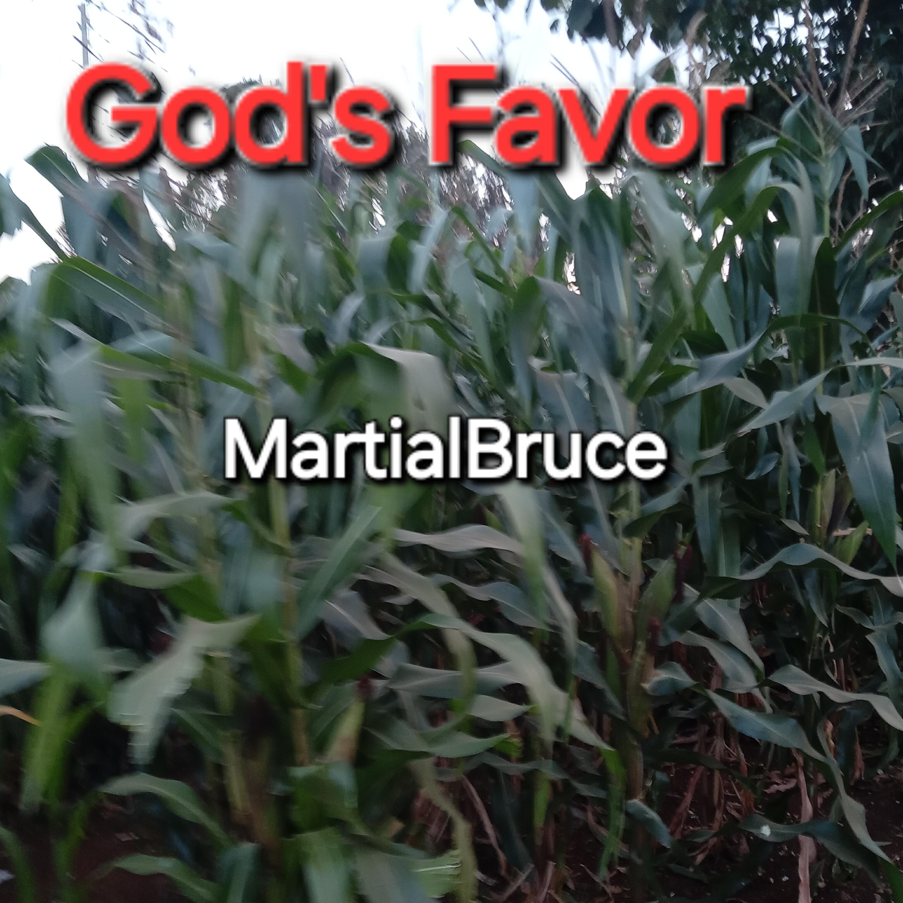 Релиз God's Favor