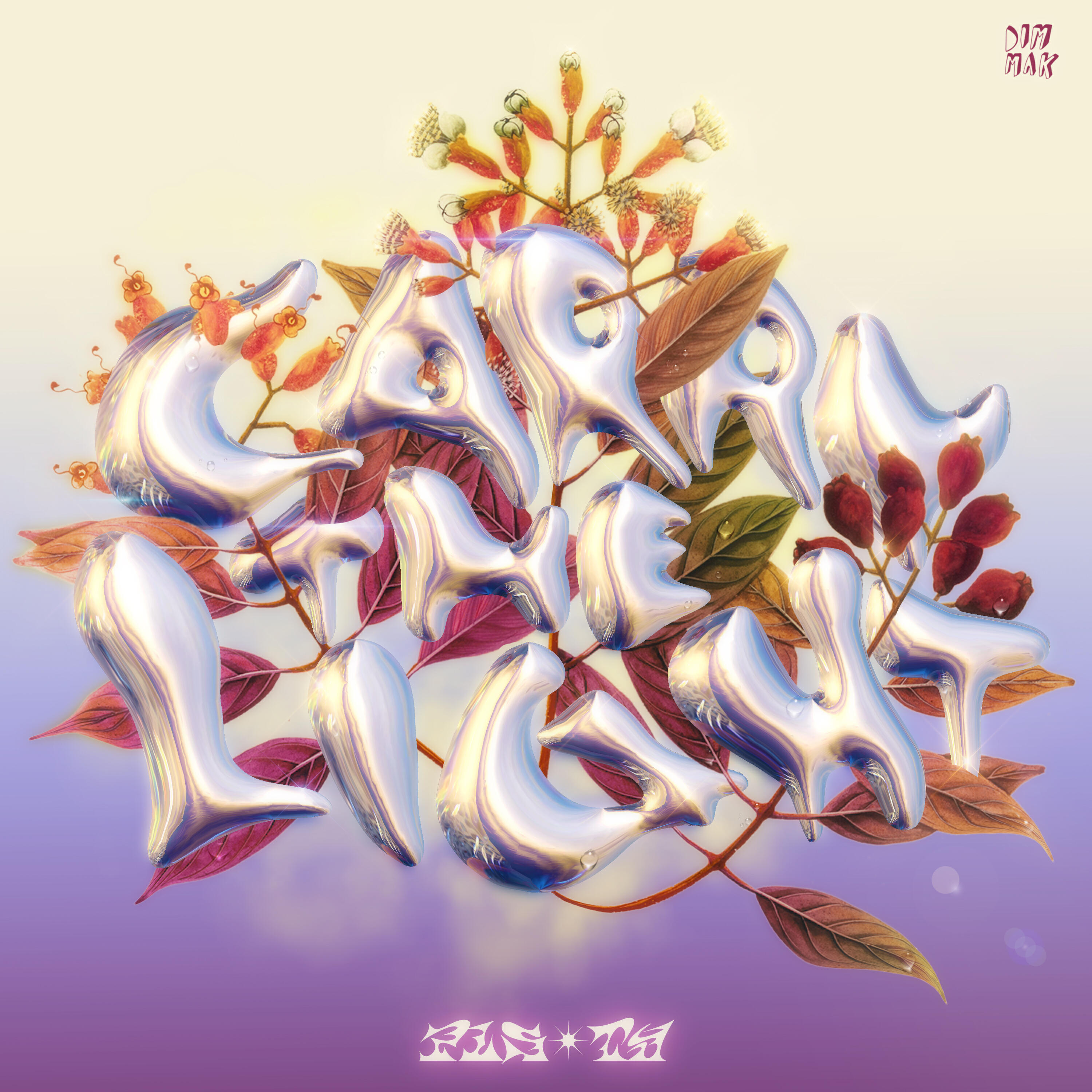 Релиз Carry The Light