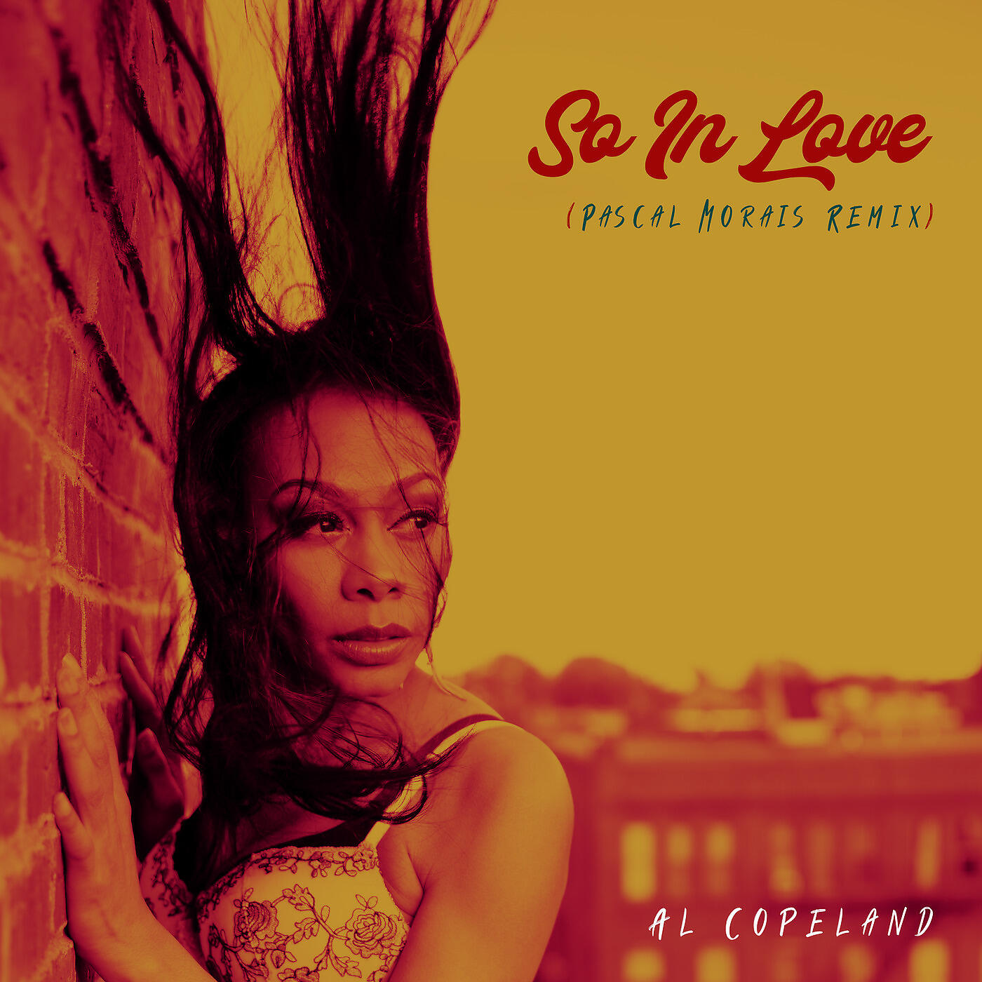 Релиз So in Love (Pascal Morais Remix)