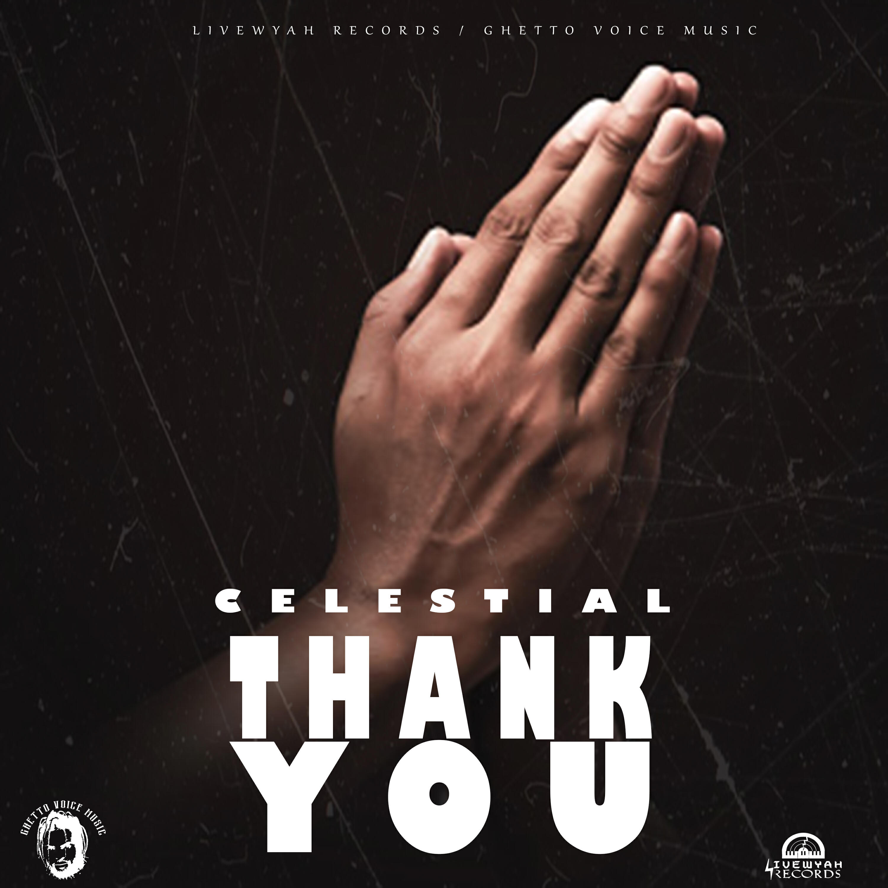 Релиз Thank You