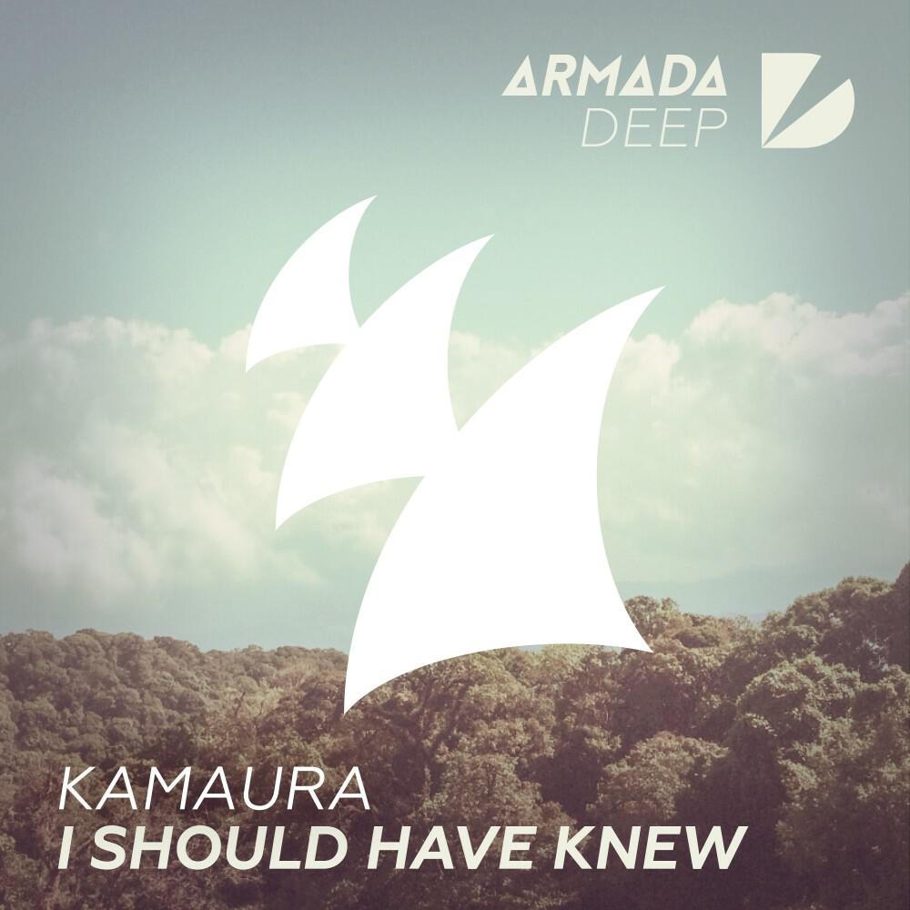 Релиз I Should Have Knew