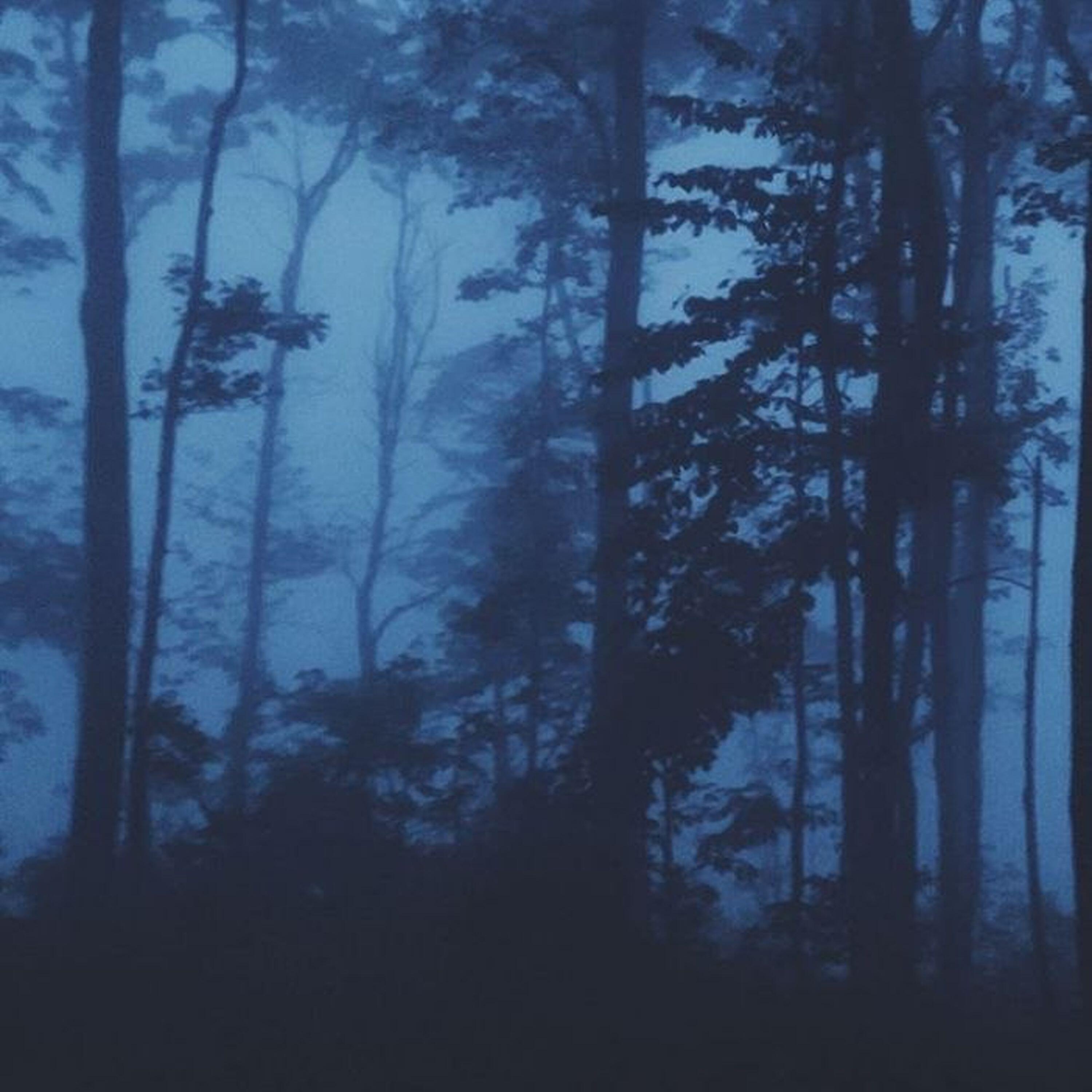 Релиз before the last light