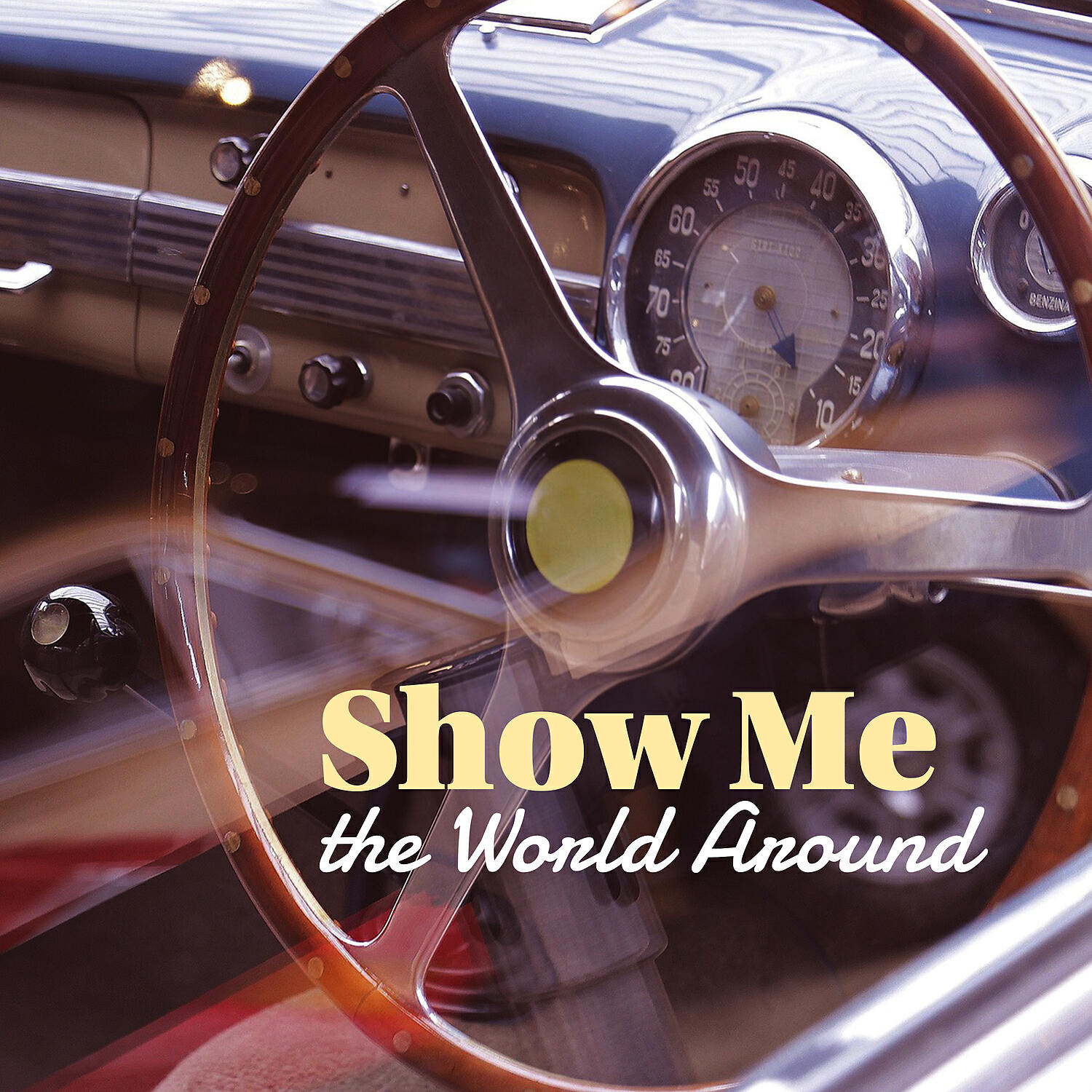 Релиз Show Me the World Around: Taste the Covers Hits of the 90’s & Modern Pop Music Interpretation