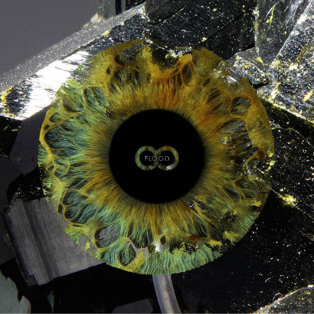 Релиз Flood