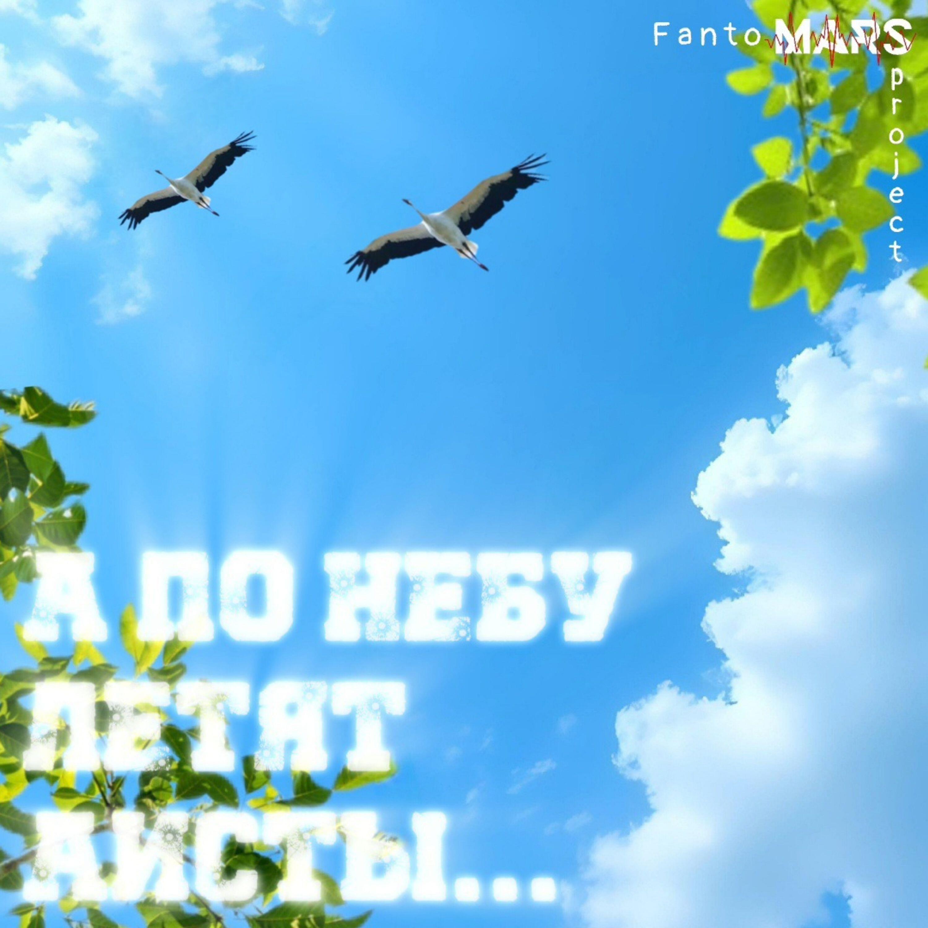 Релиз А по небу летят аисты...