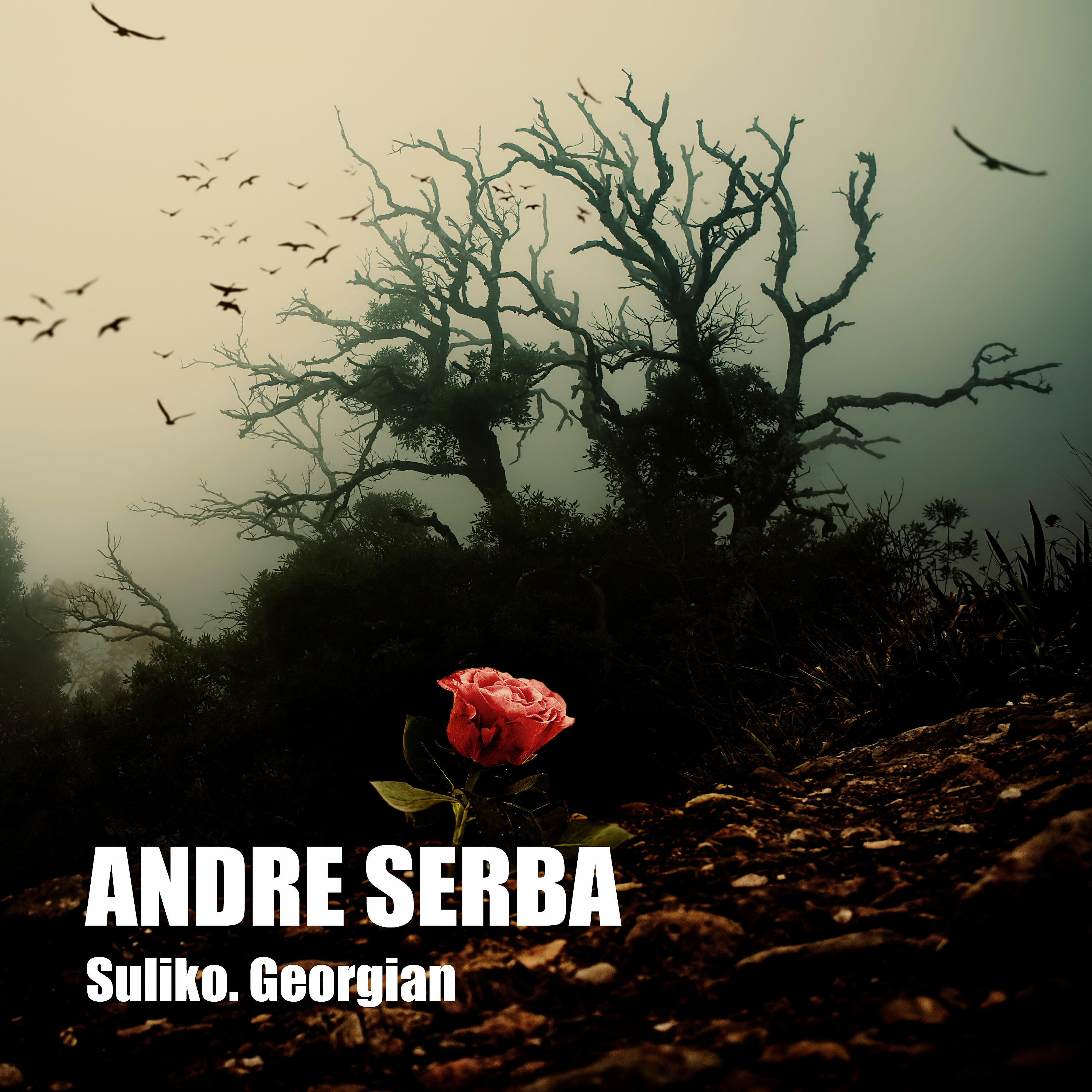 Релиз Suliko. Georgian