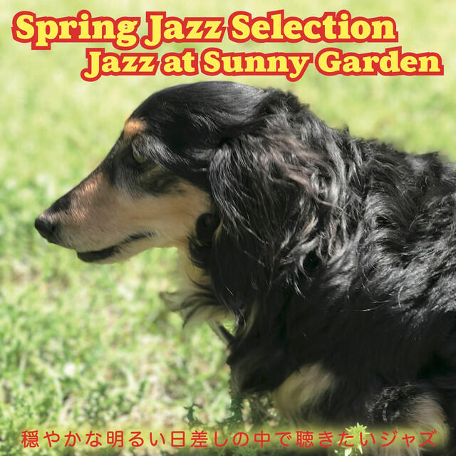 Релиз Spring Jazz Selection Jazz at Sunny Garden
