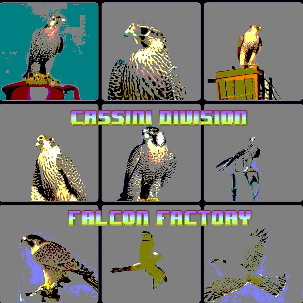 Релиз Falcon Factory