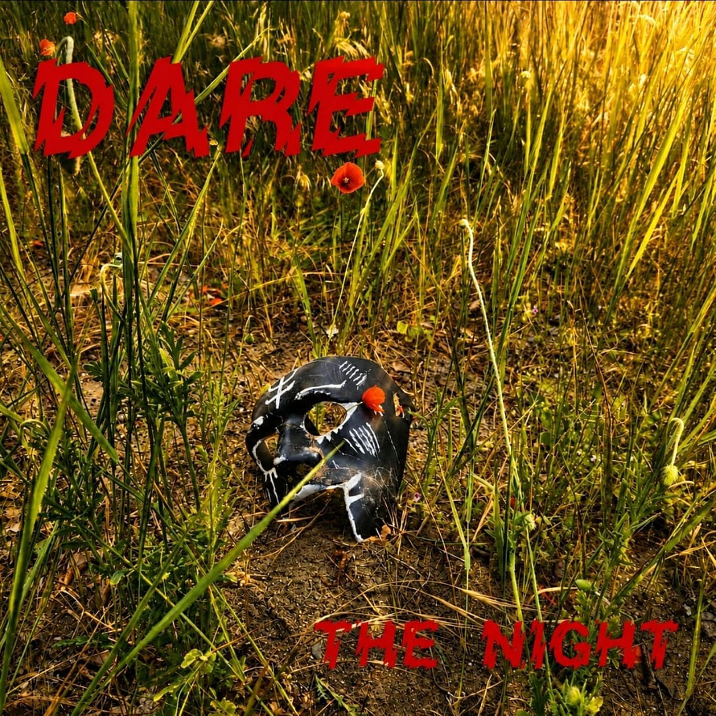 Релиз The Night