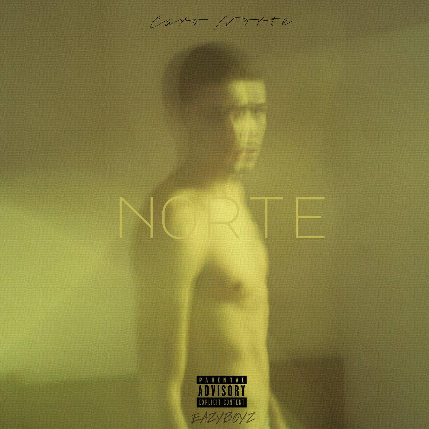 Релиз Norte