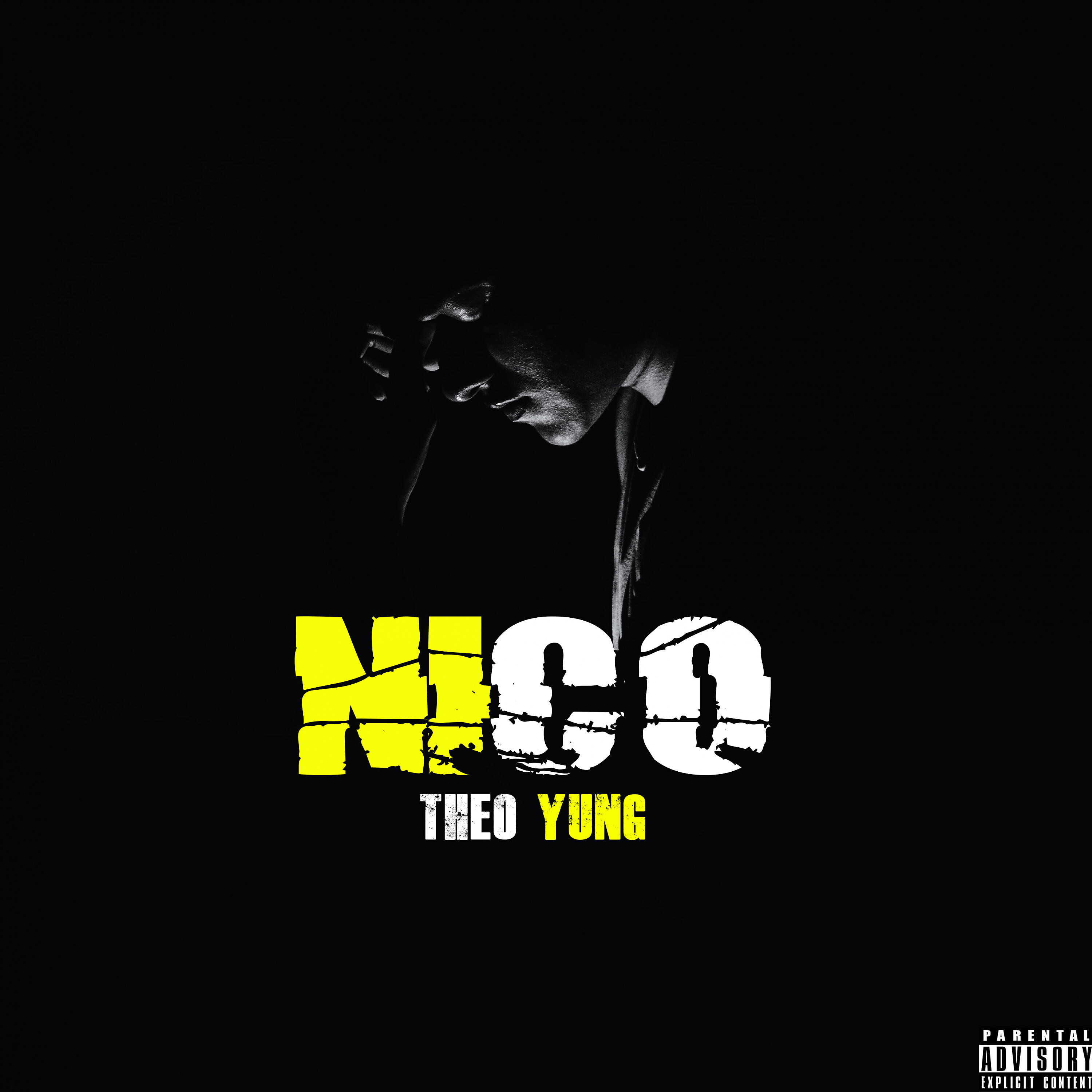 Релиз Nico