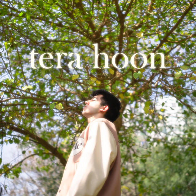 Релиз Tera Hoon